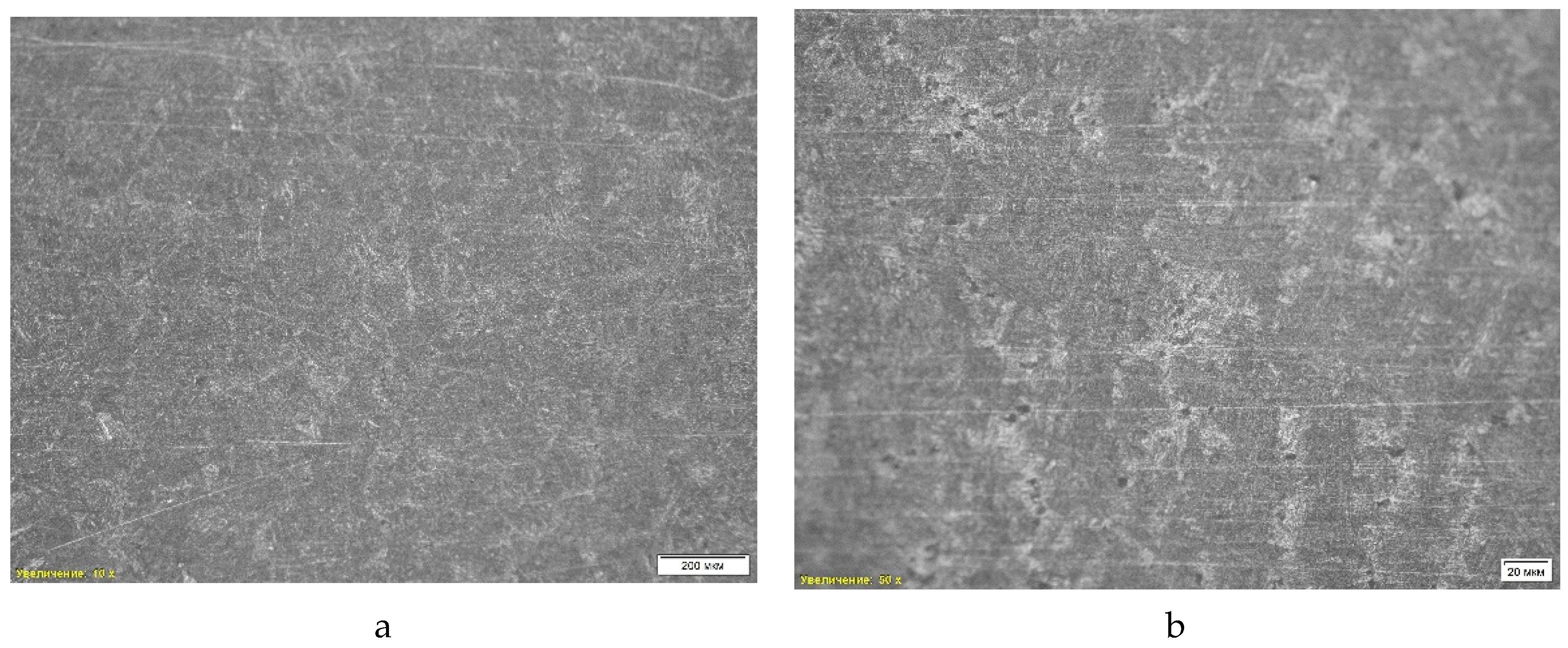 Preprints 143268 g009