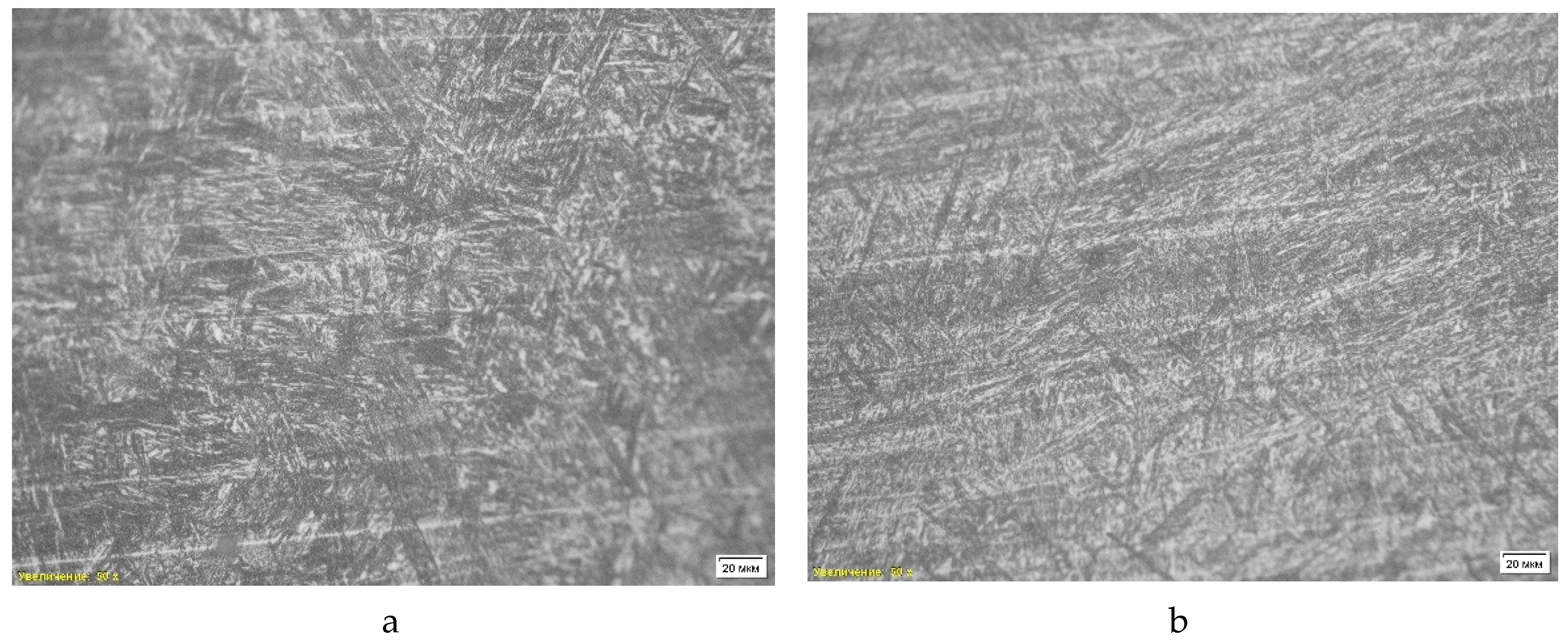 Preprints 143268 g010