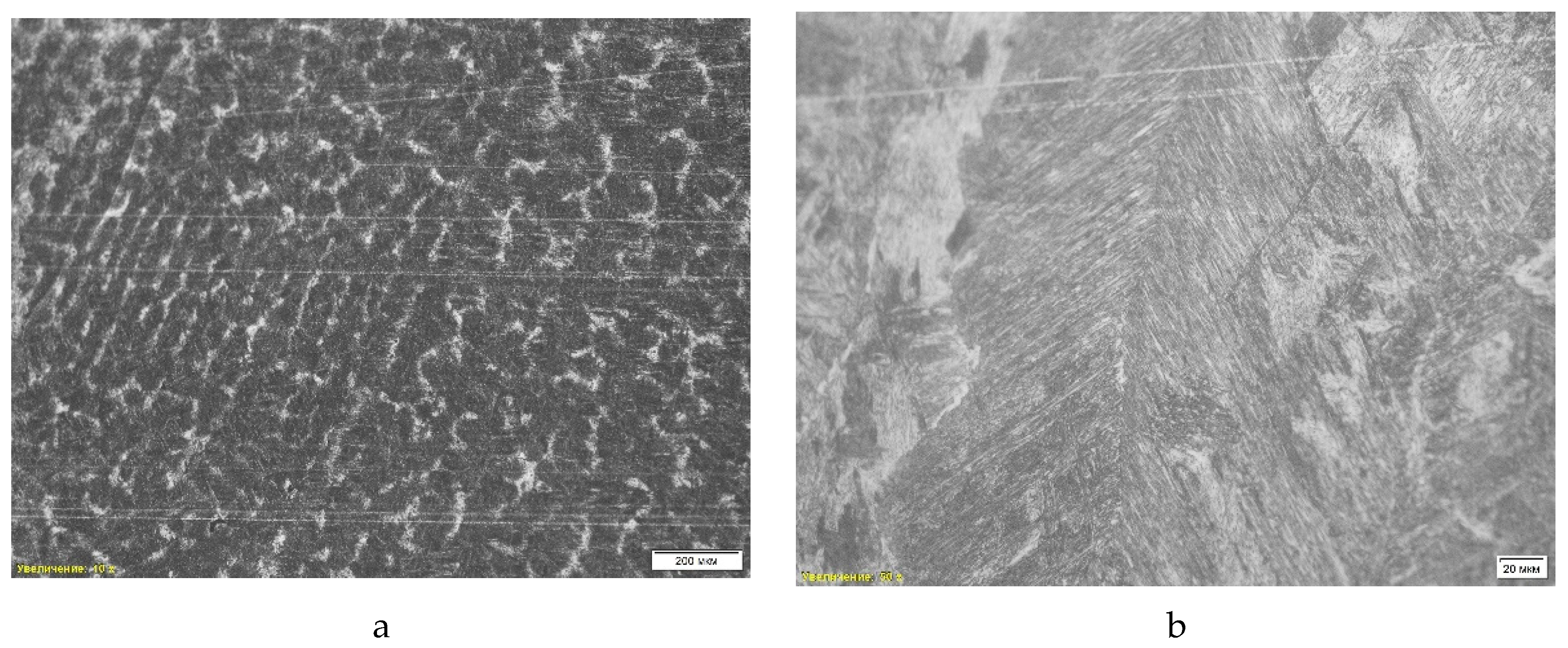 Preprints 143268 g011