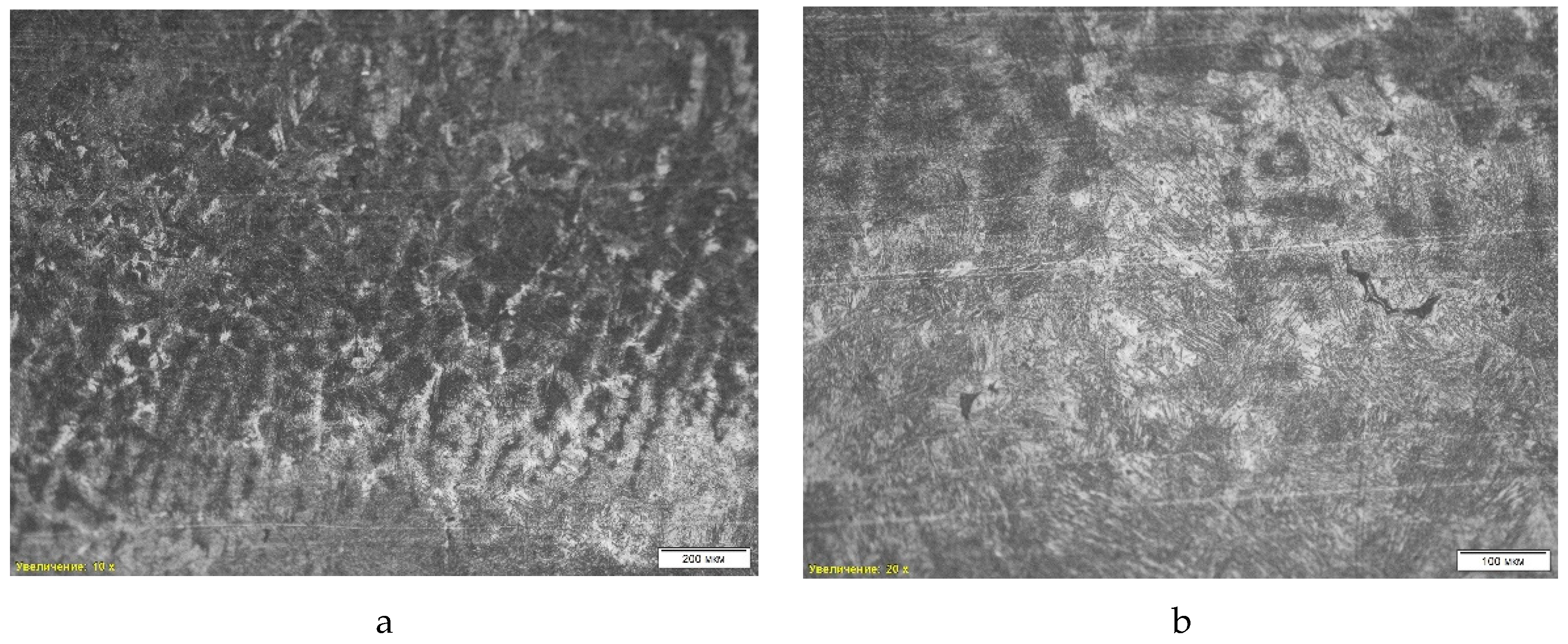 Preprints 143268 g012