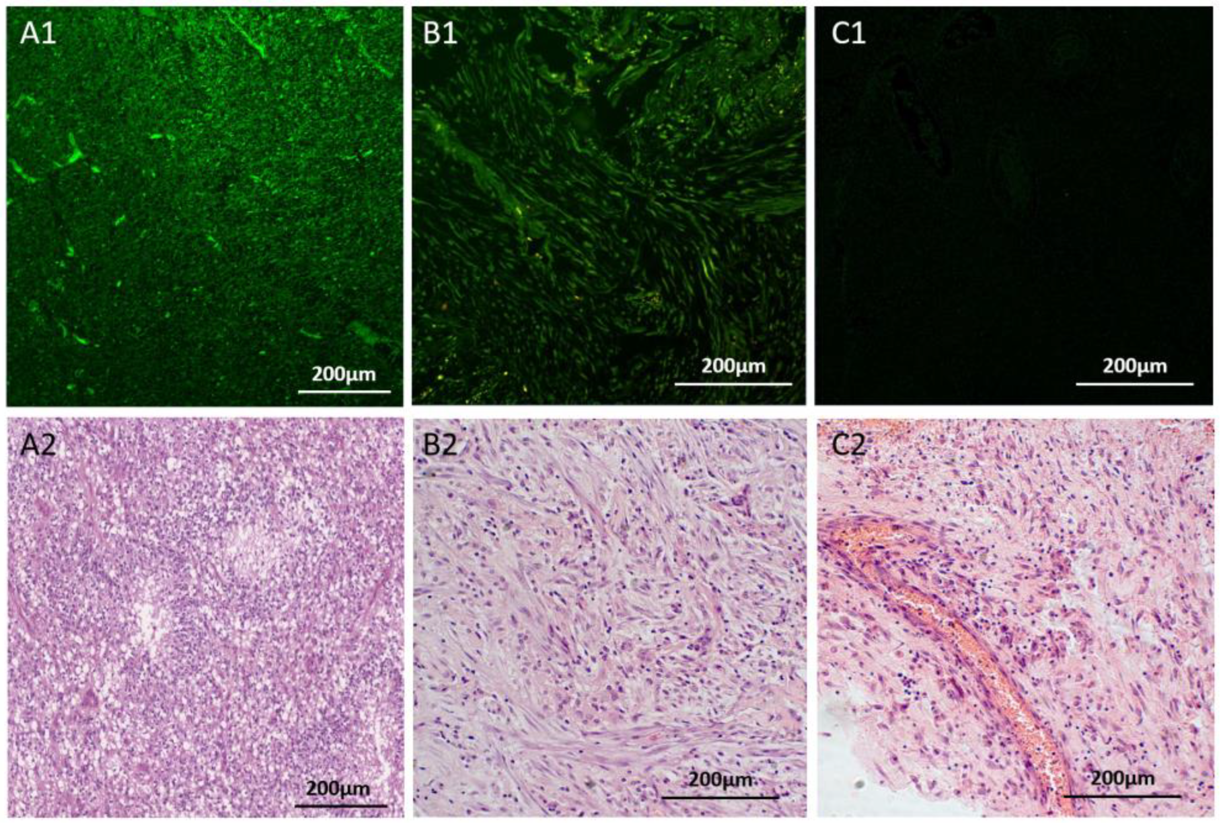 Preprints 92970 g003