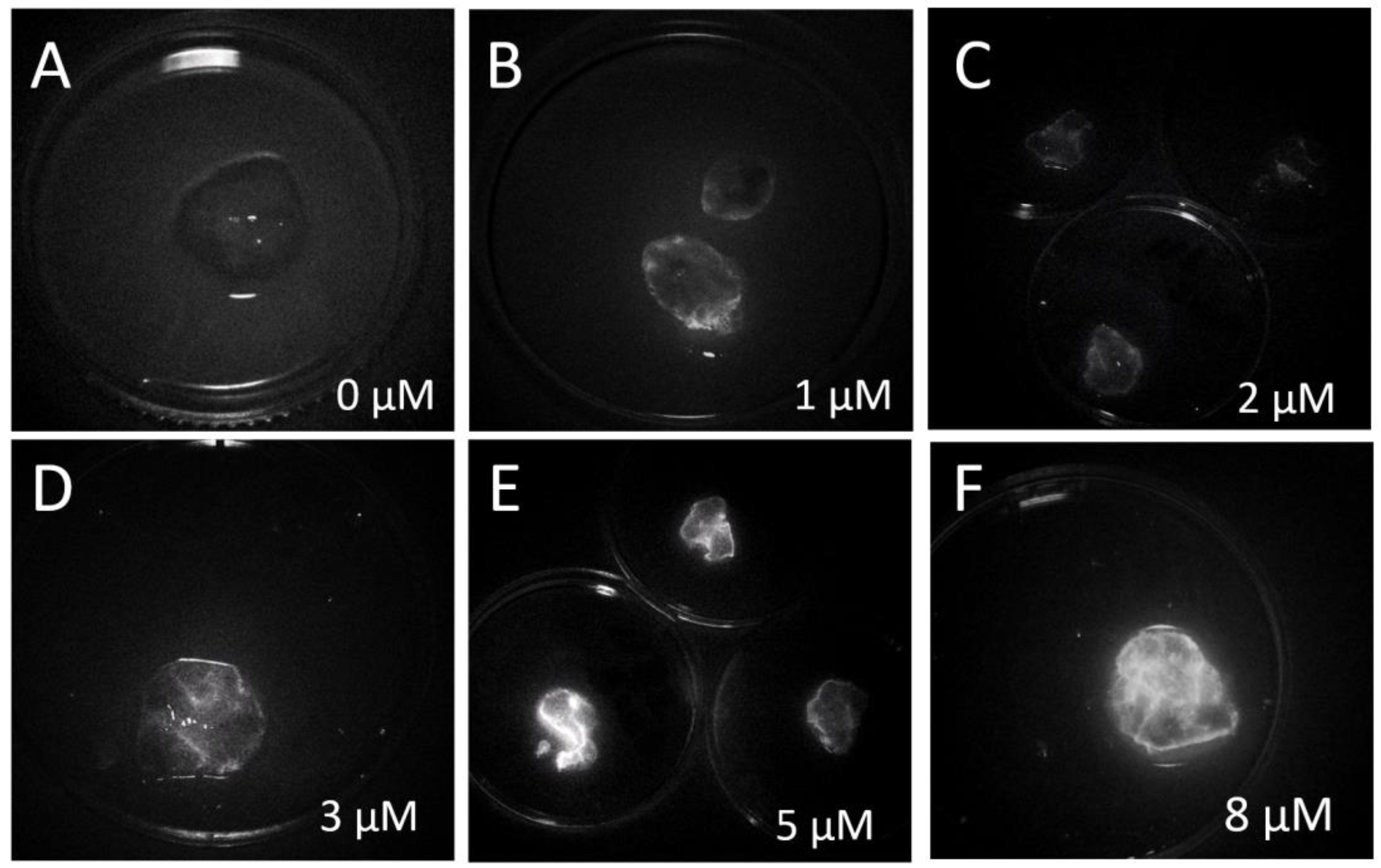 Preprints 92970 g004