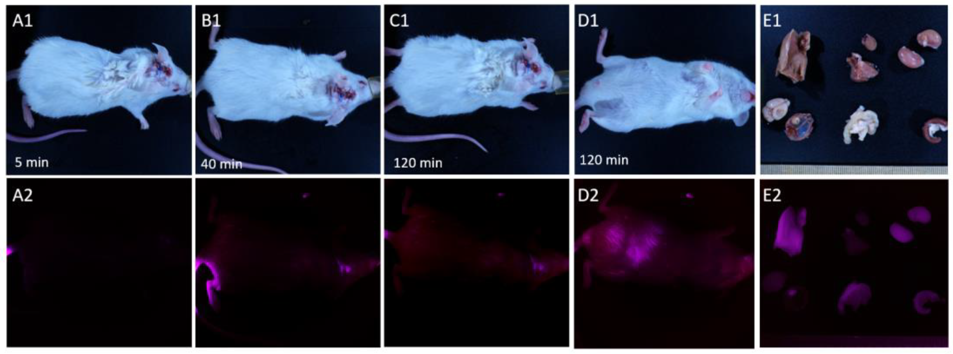 Preprints 92970 g005