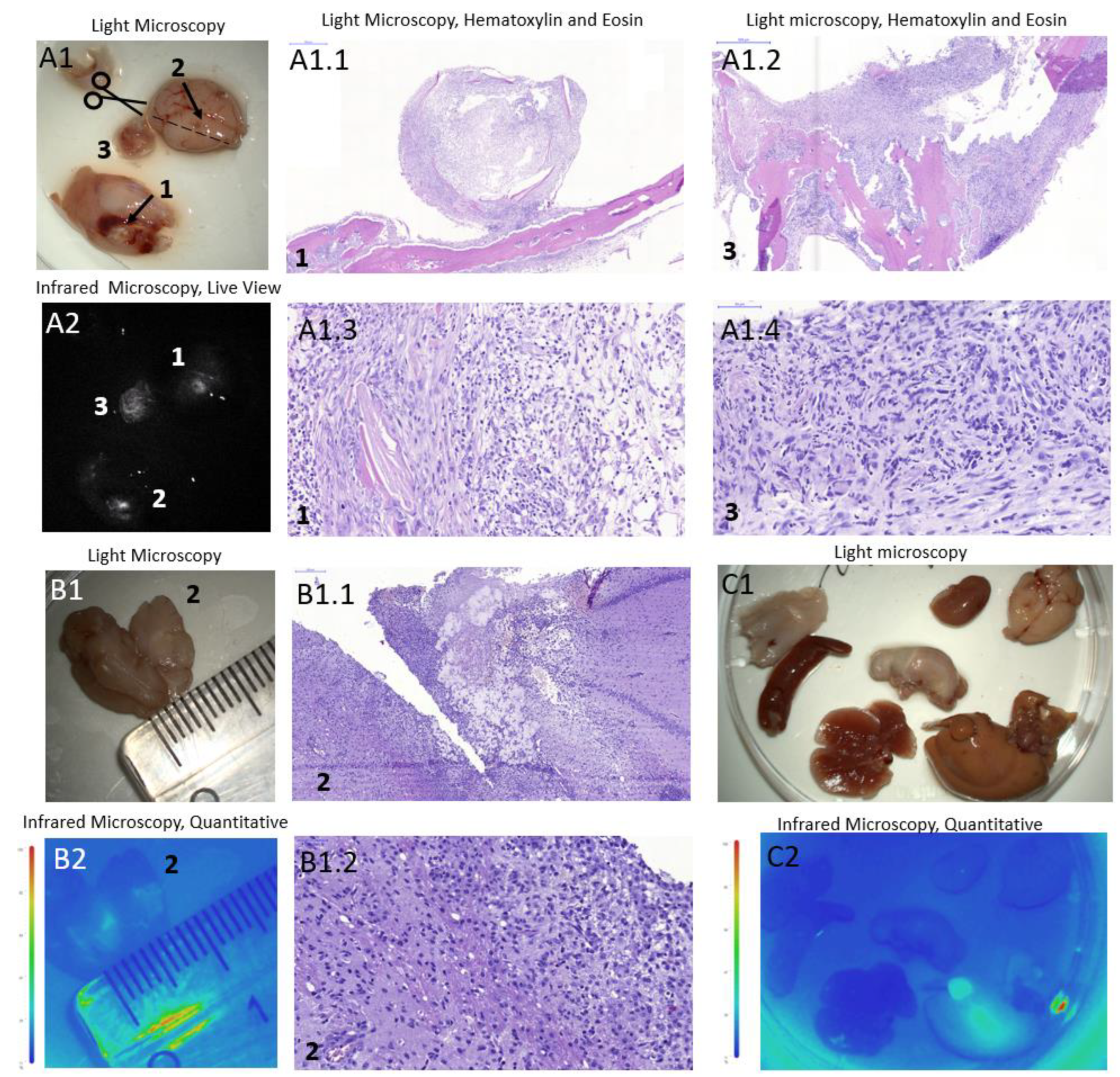 Preprints 92970 g007
