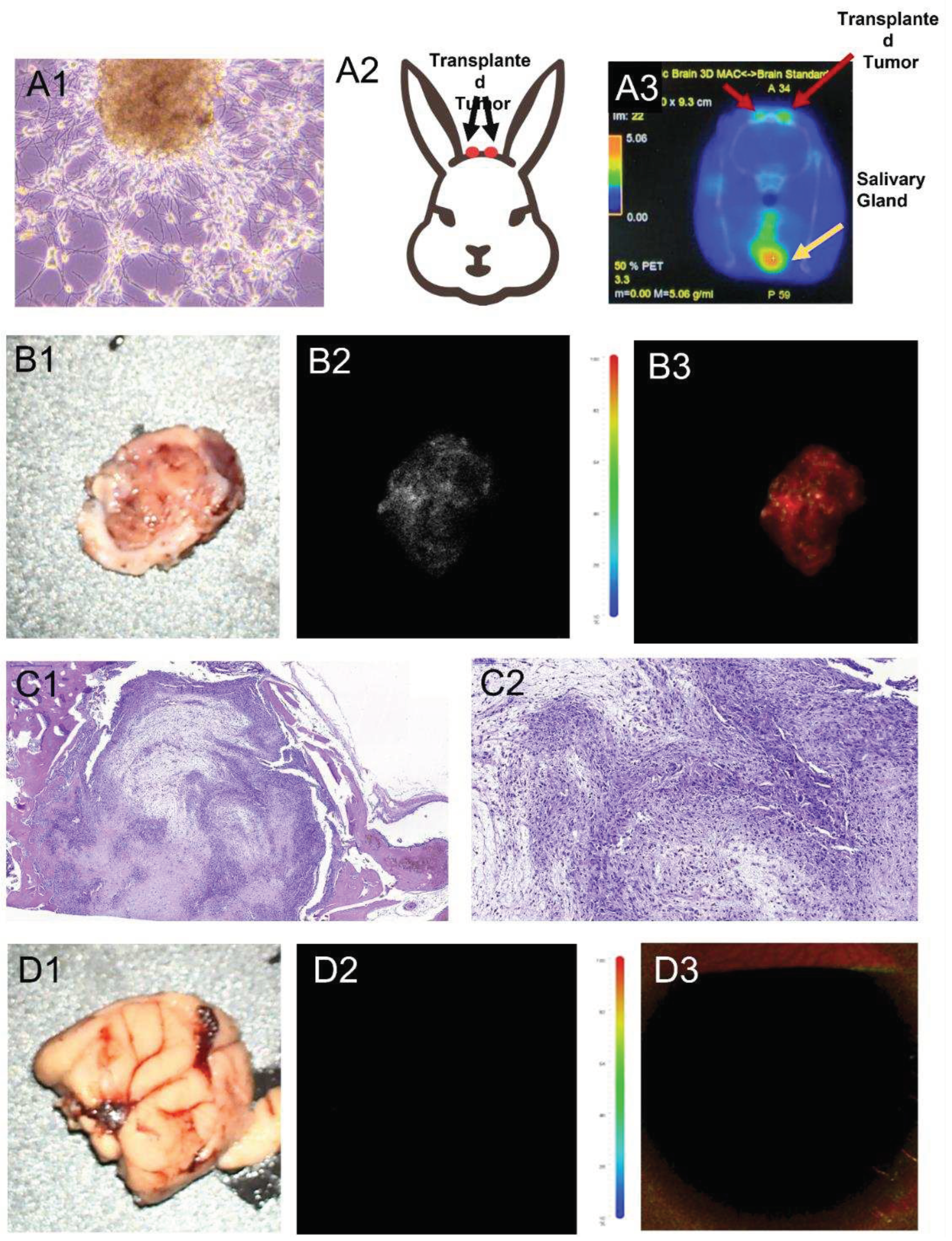 Preprints 92970 g008