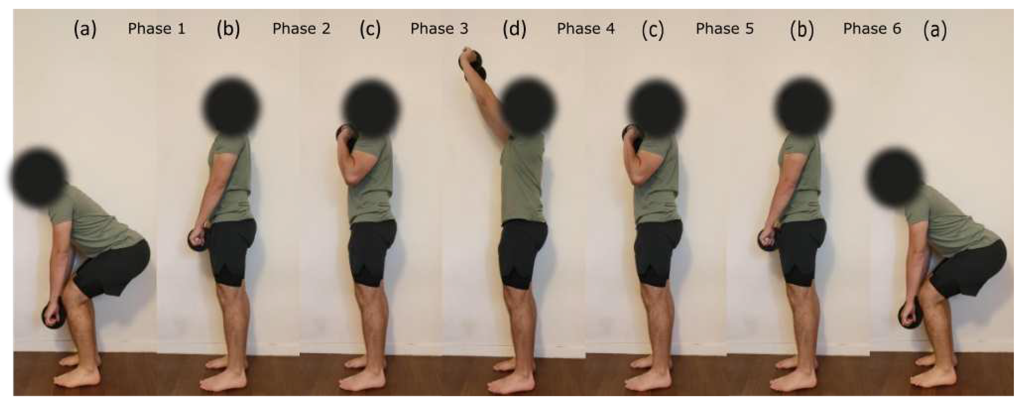 Preprints 81102 g001