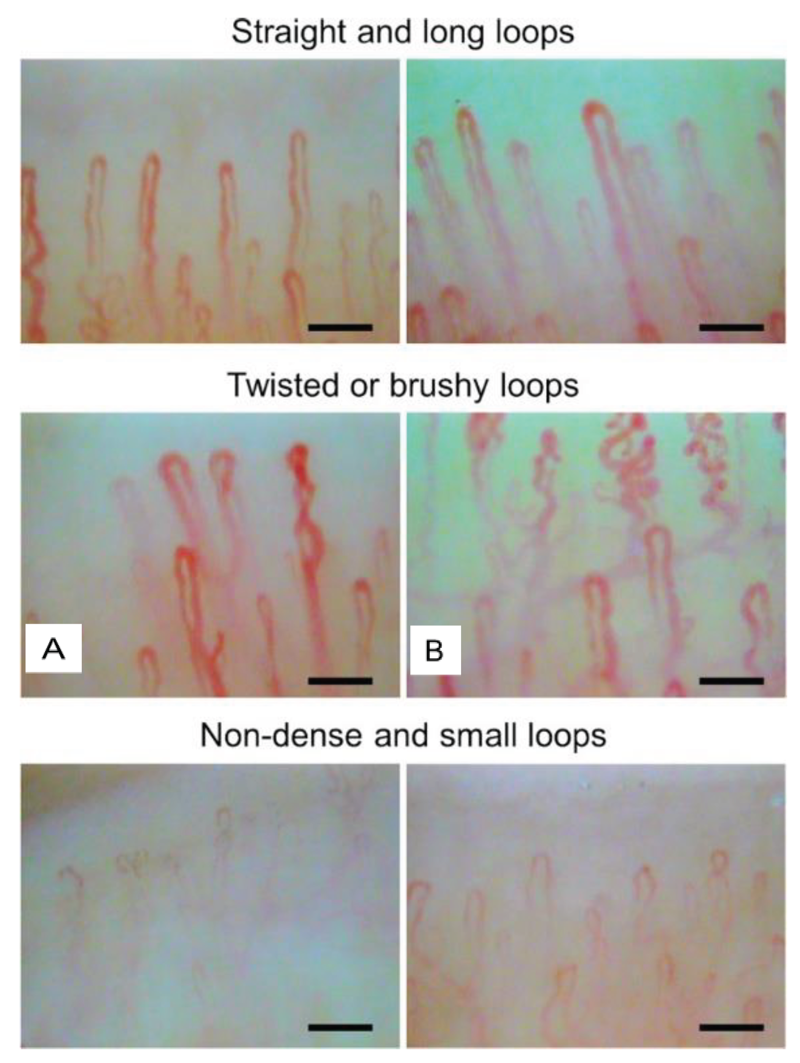 Preprints 102785 g003