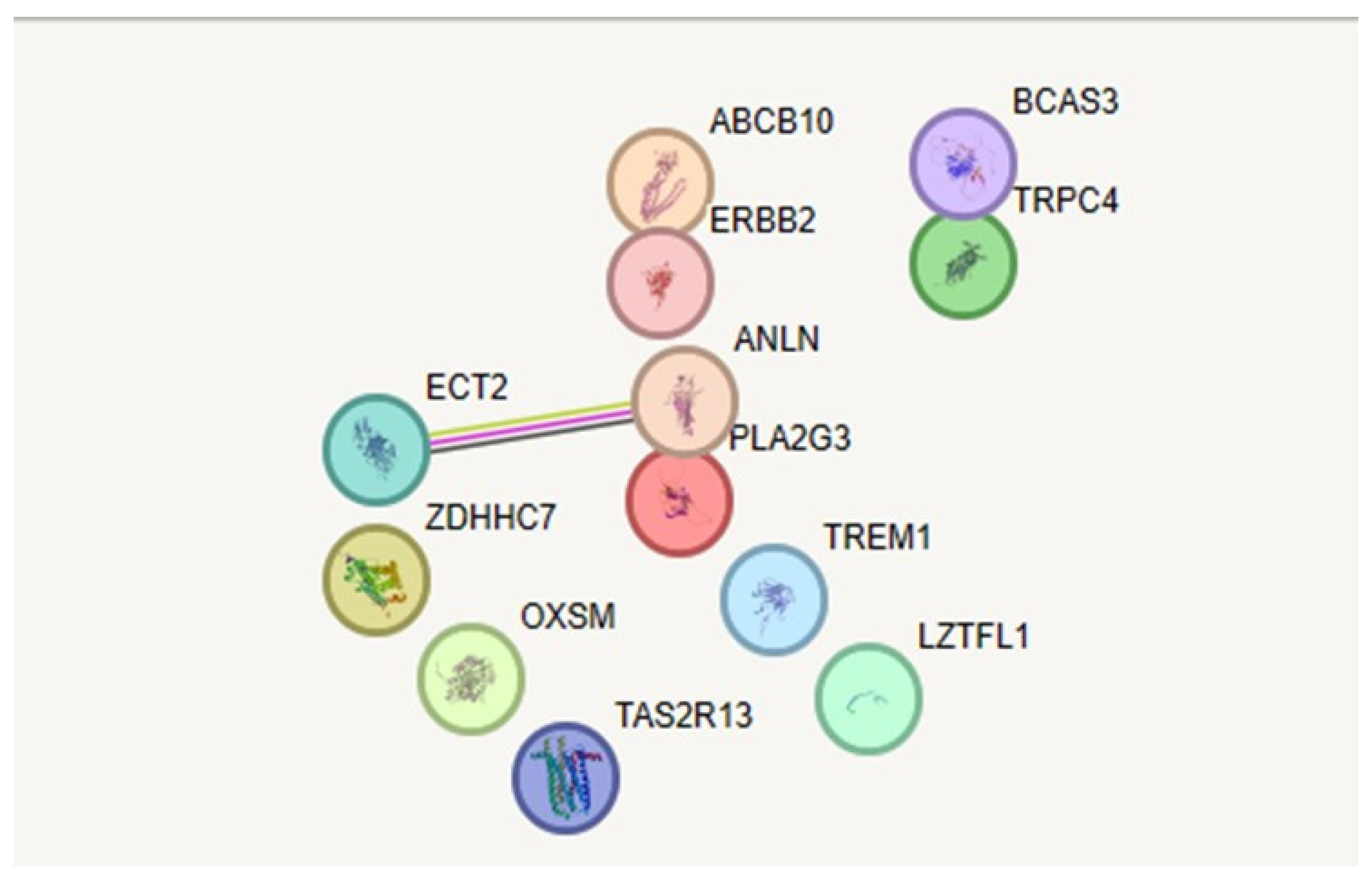 Preprints 107087 g003