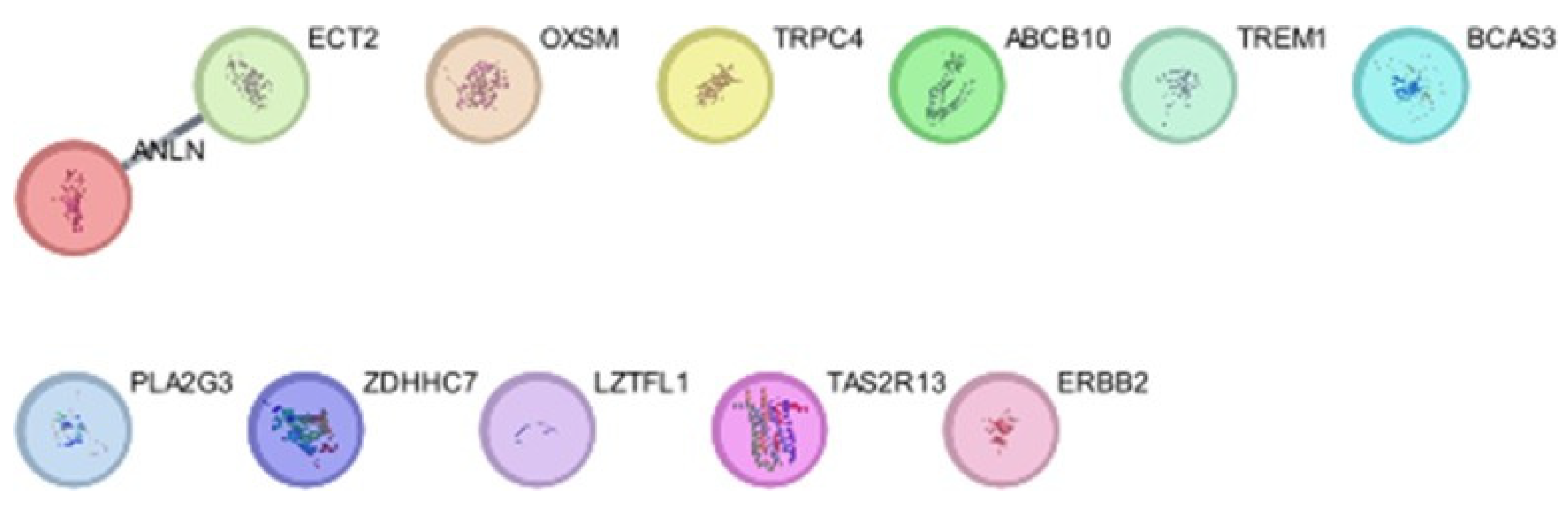 Preprints 107087 g004