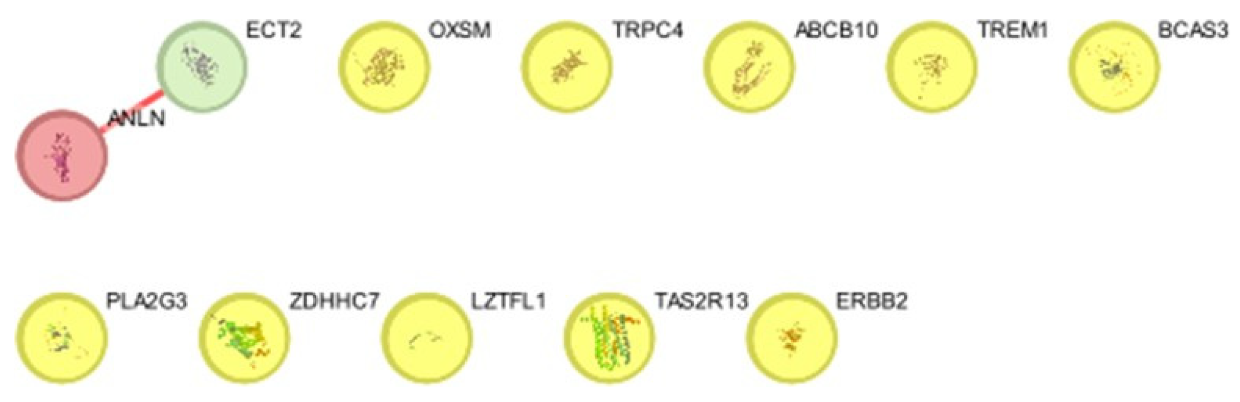 Preprints 107087 g005