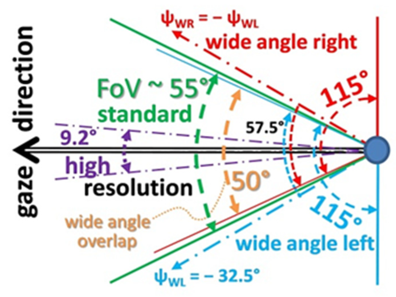 Preprints 107935 g005