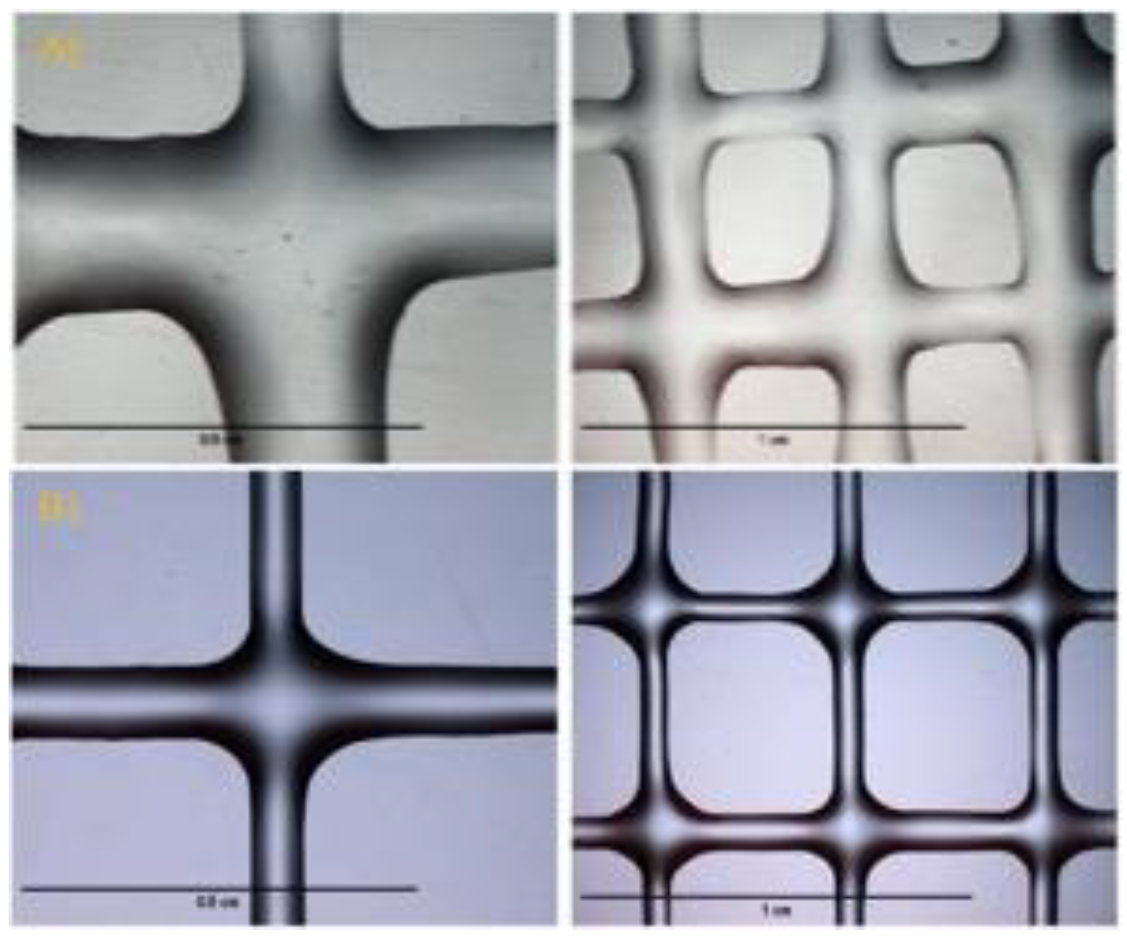 Preprints 140319 g006