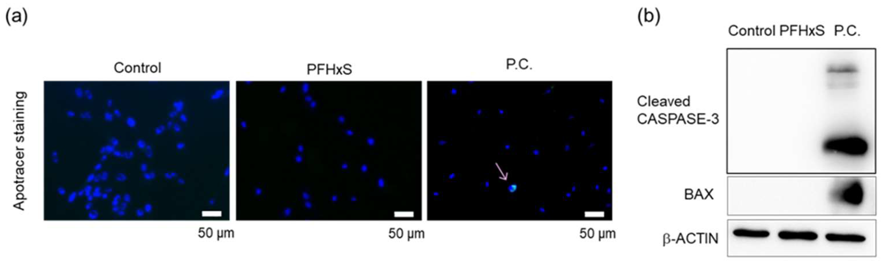 Preprints 159642 g002