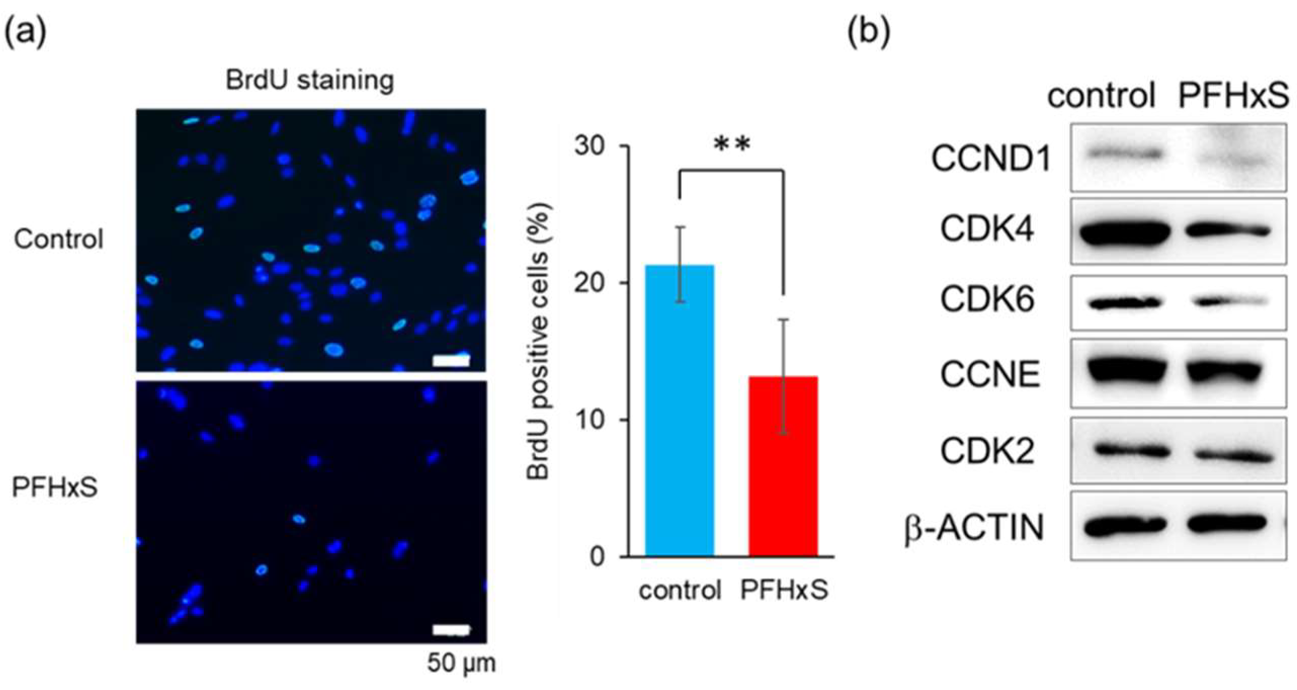 Preprints 159642 g003
