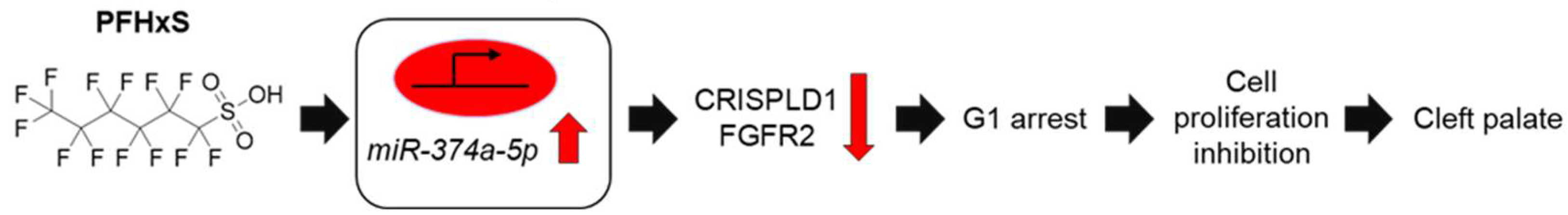 Preprints 159642 g006