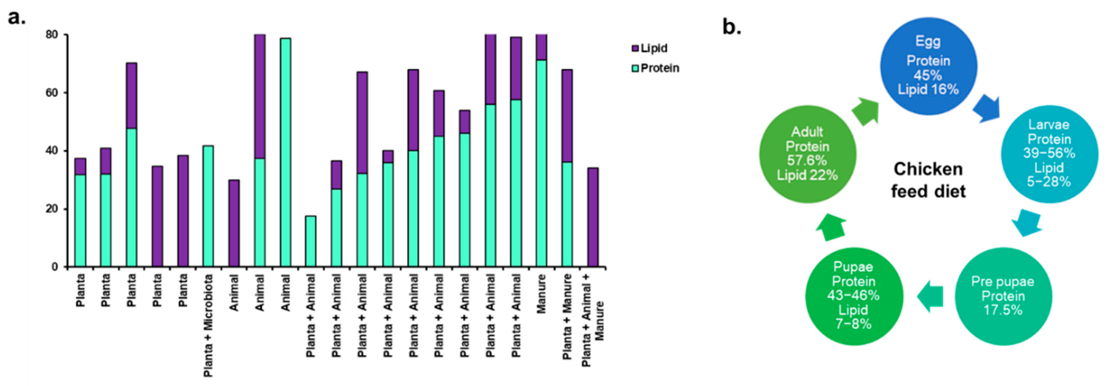 Preprints 149635 g002