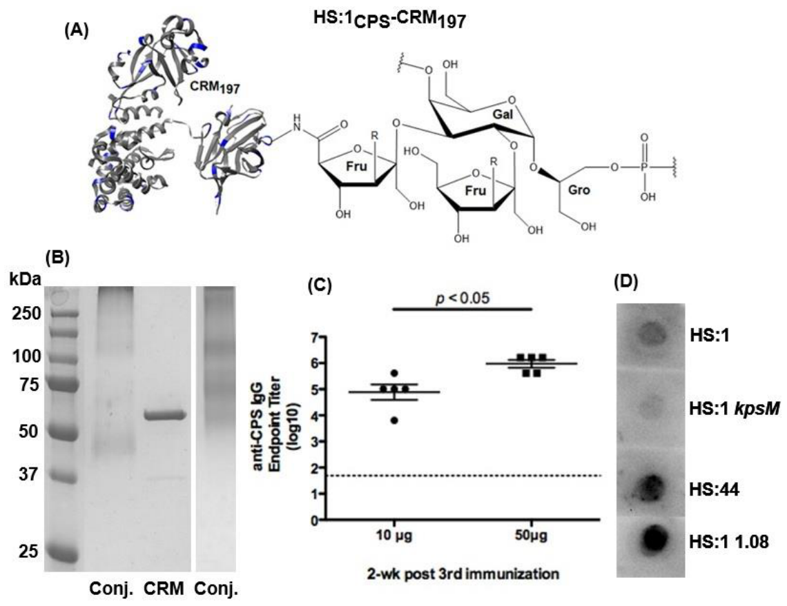 Preprints 230945 g001 Preprints 230945 g001