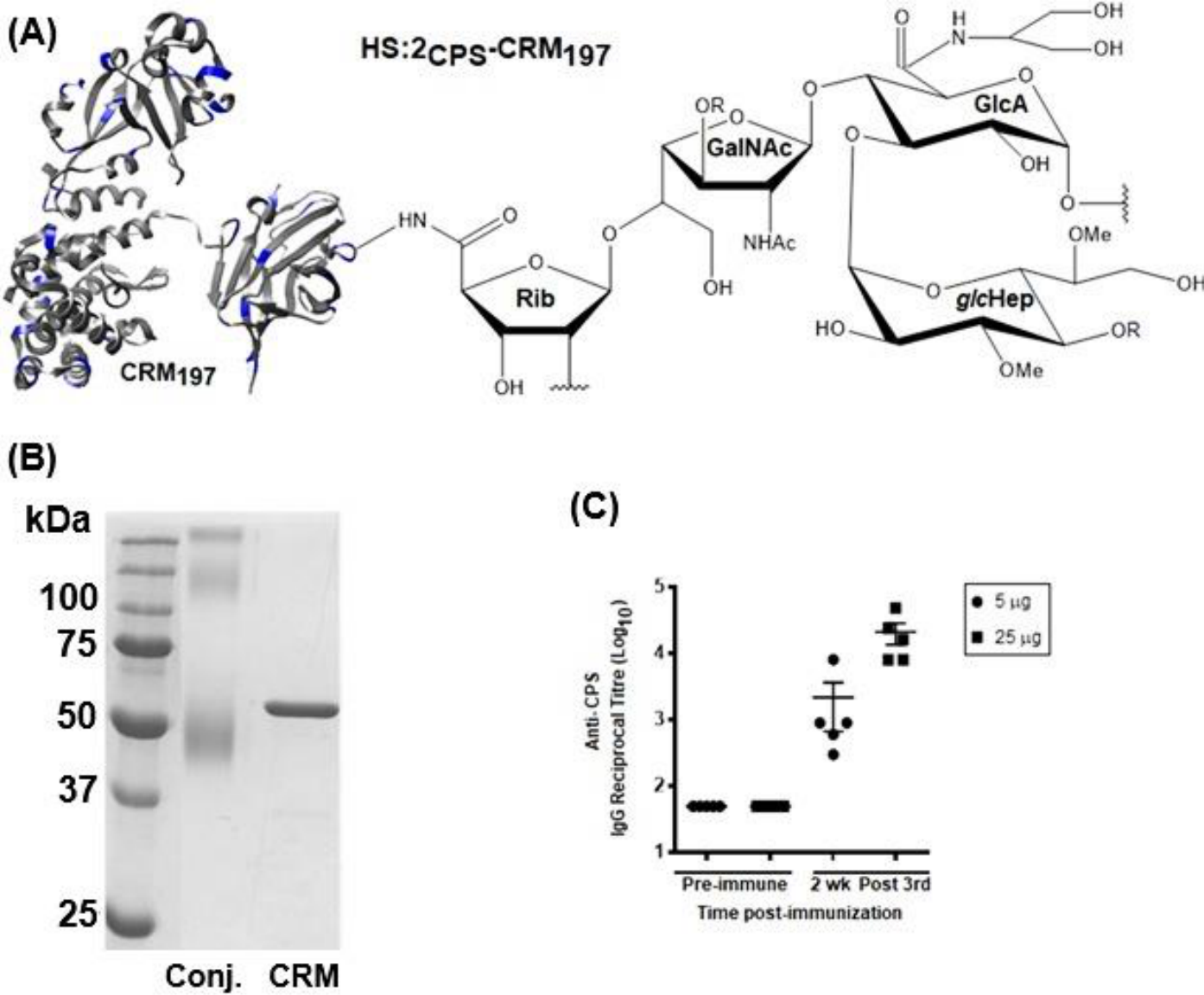 Preprints 230945 g004 Preprints 230945 g004
