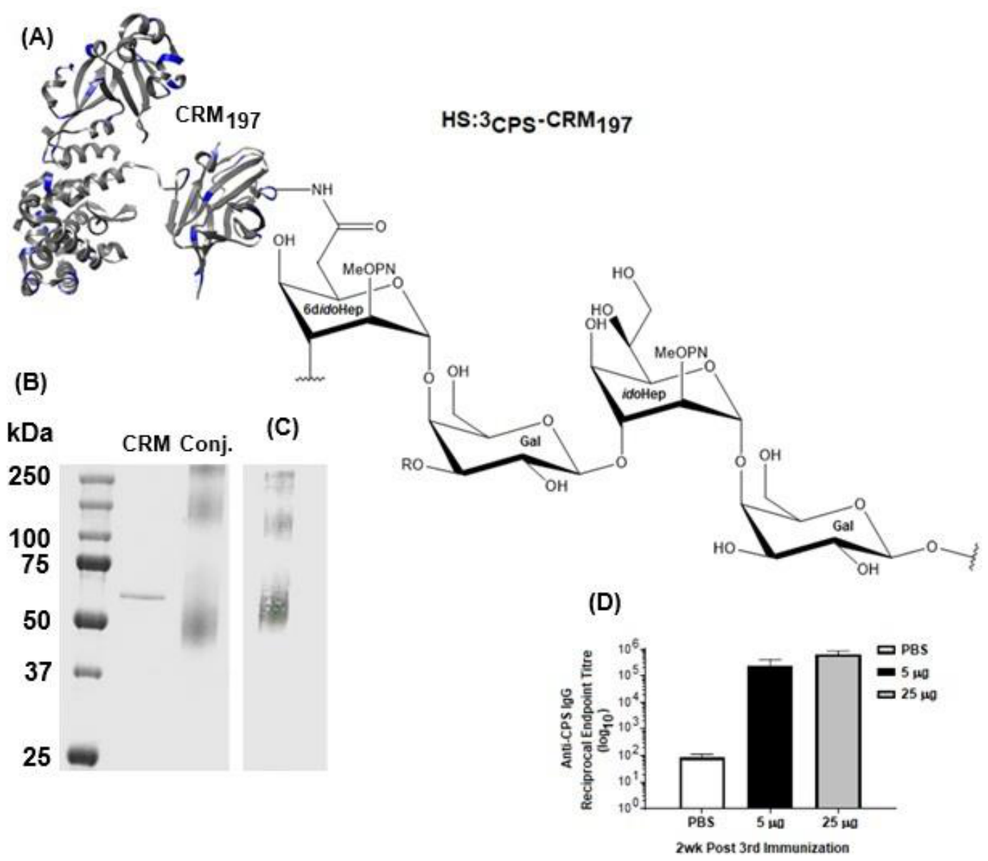 Preprints 230945 g006 Preprints 230945 g006