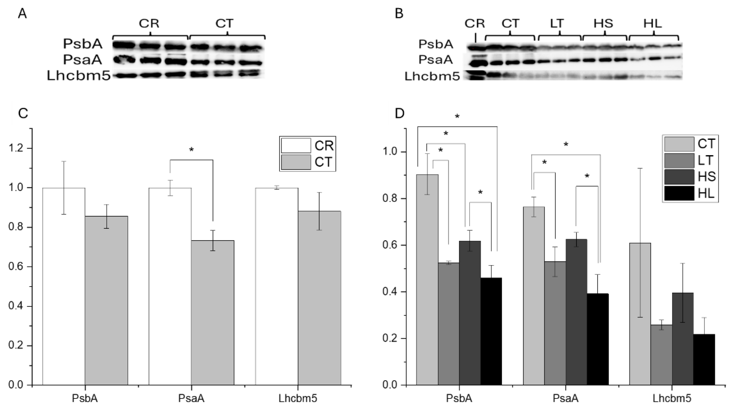 Preprints 112816 g003