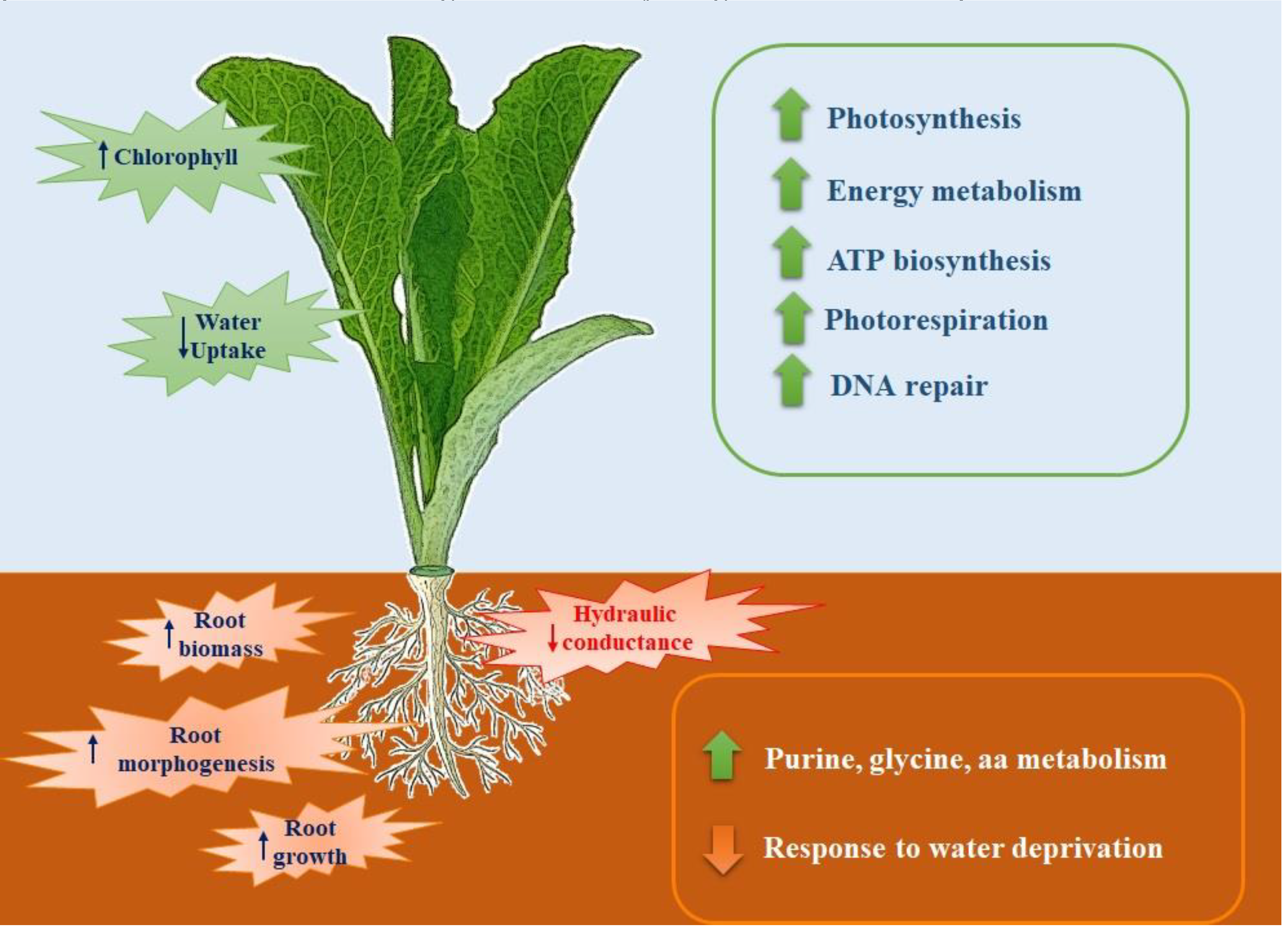 Preprints 75745 g007