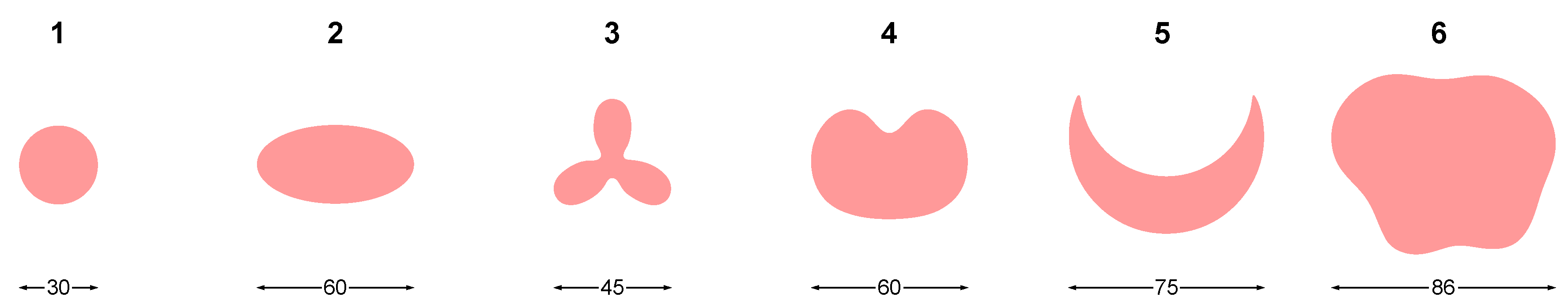 Preprints 231397 g007 Preprints 231397 g007