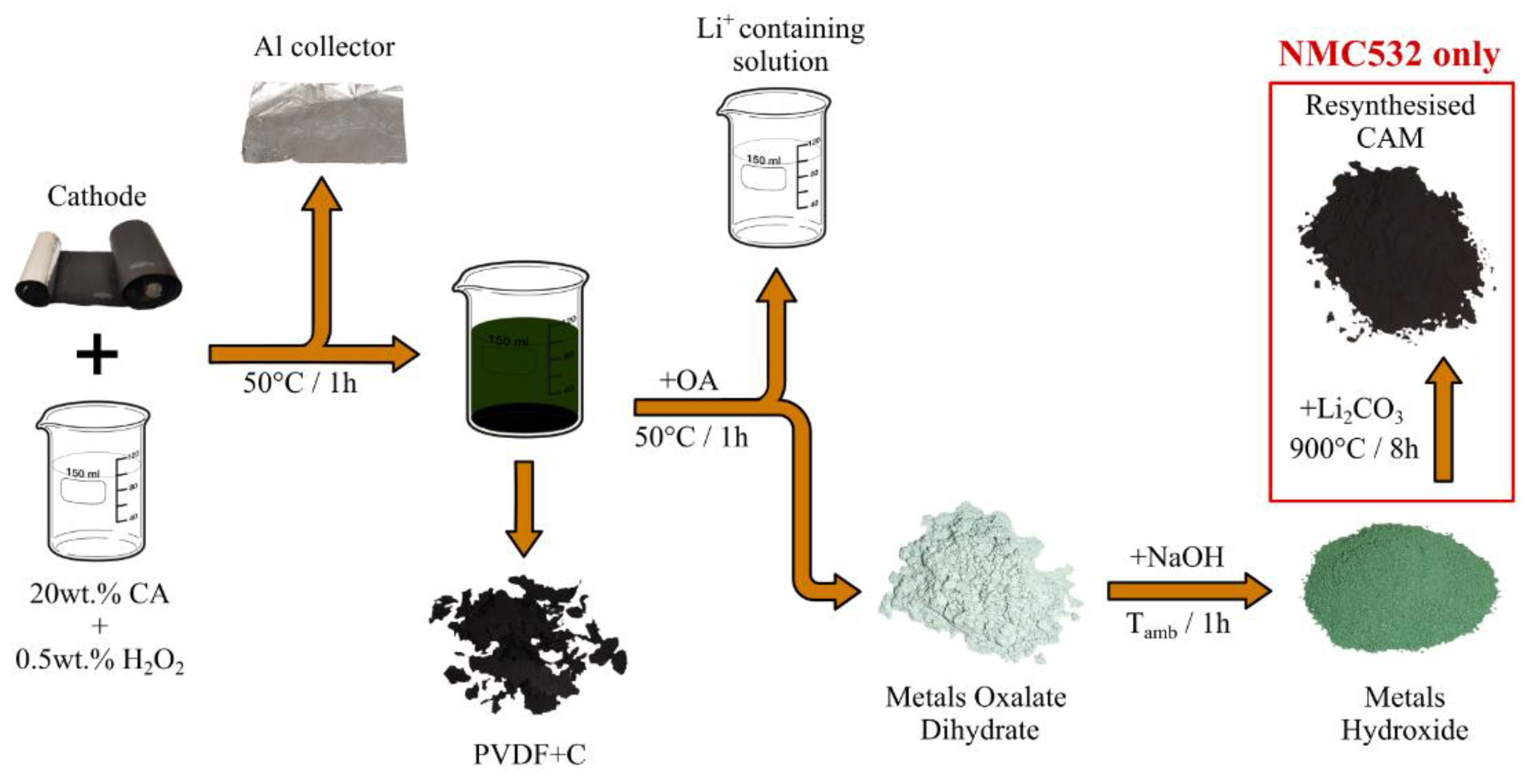 Preprints 147092 g002