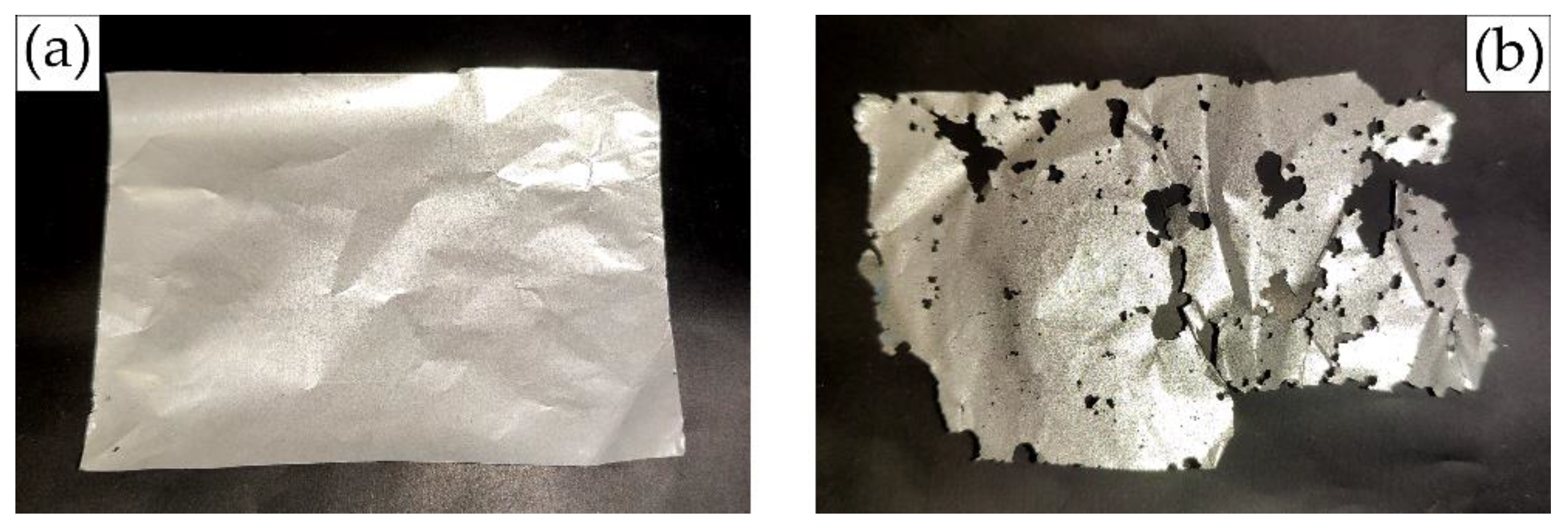 Preprints 147092 g003