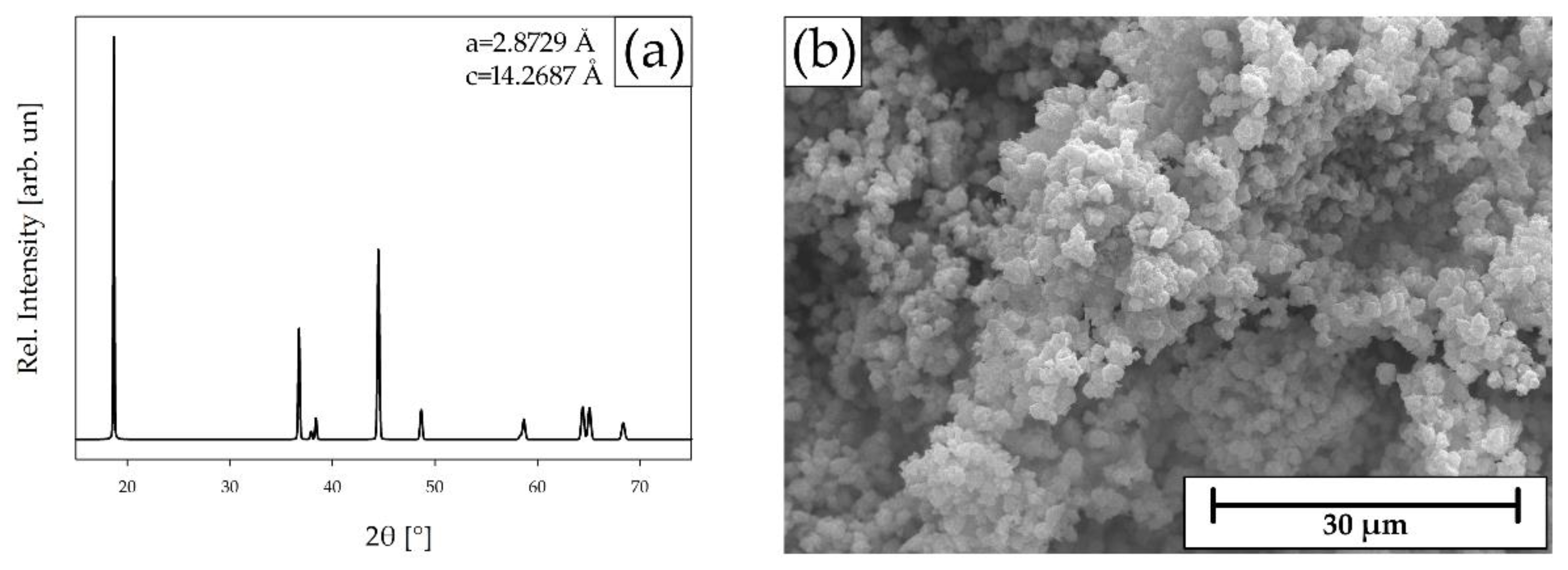 Preprints 147092 g009