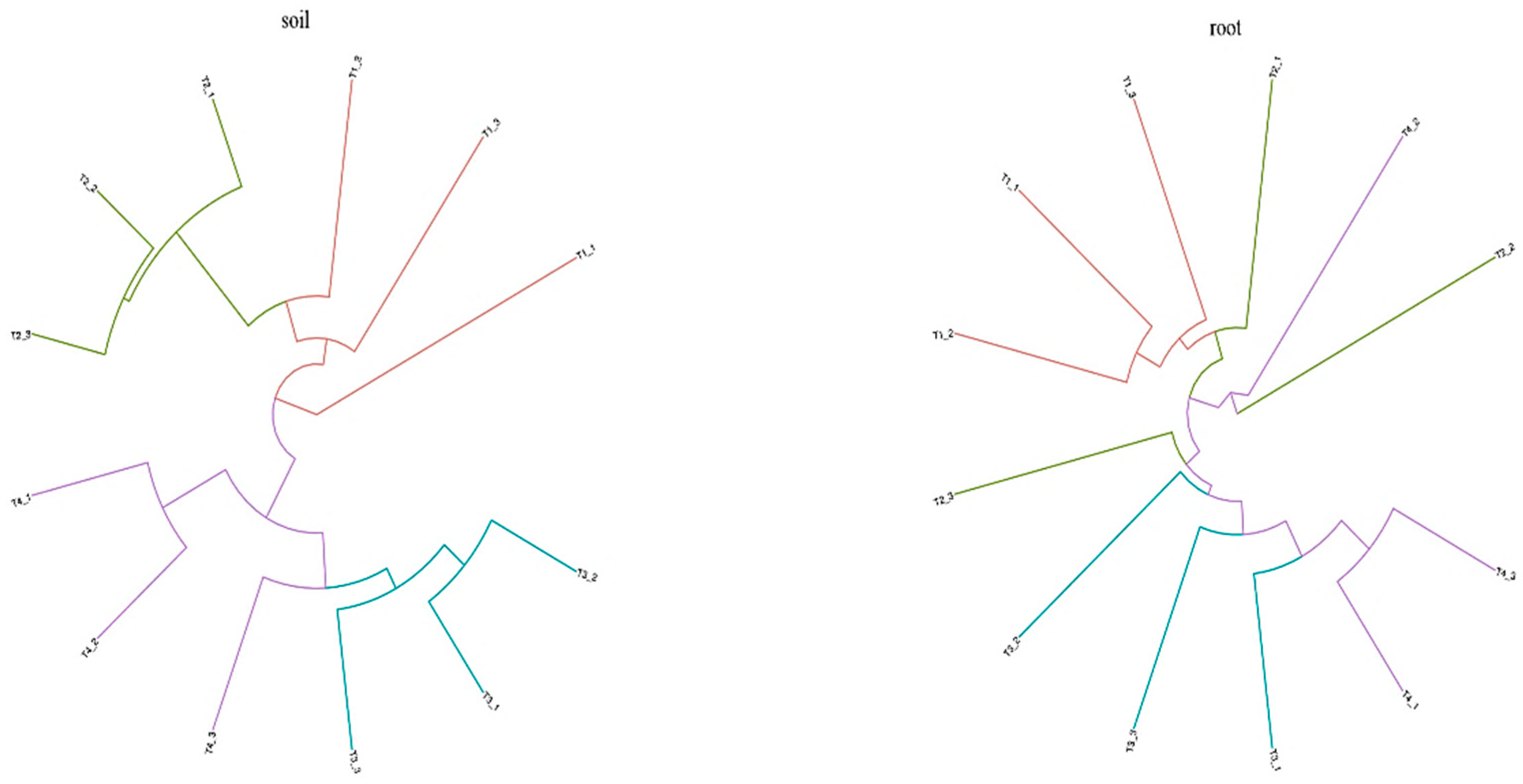 Preprints 91149 g003