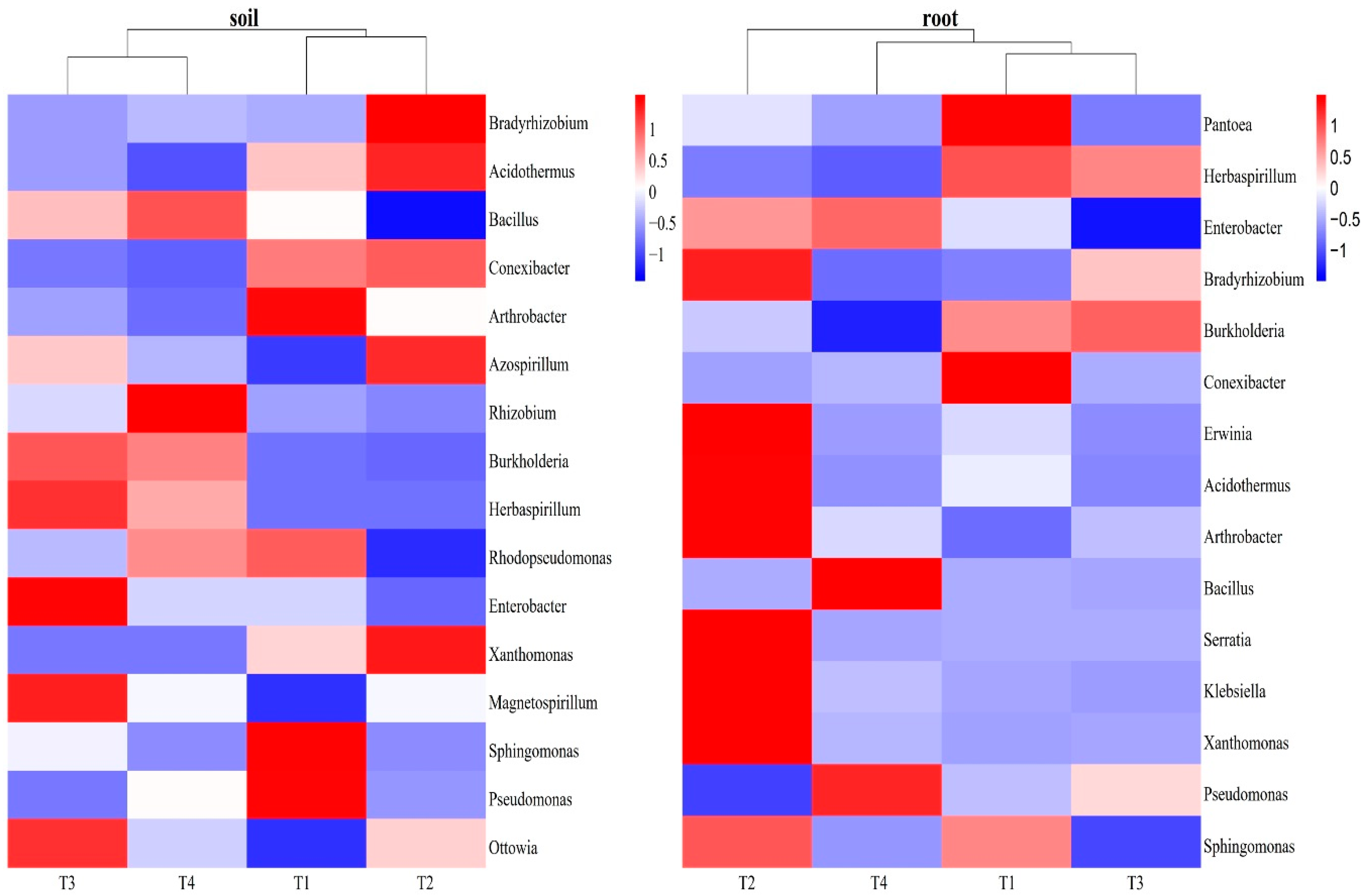 Preprints 91149 g006