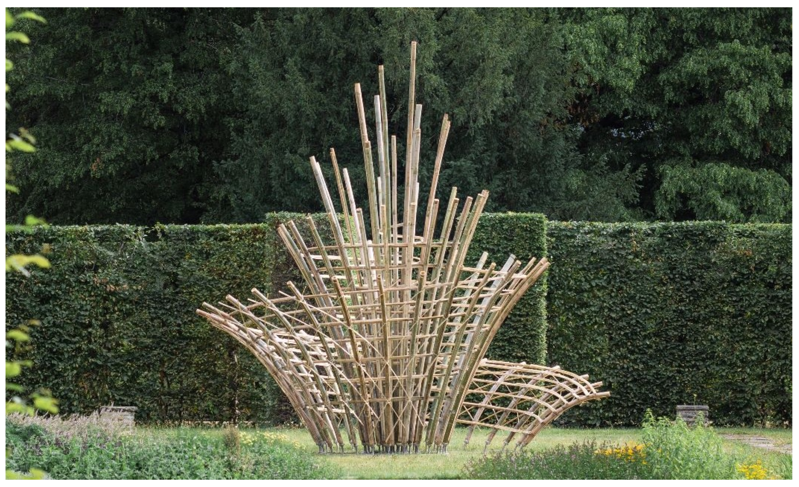 Preprints 152049 g001