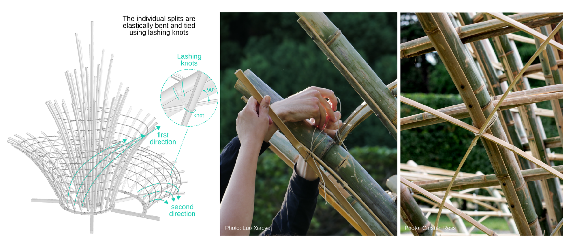 Preprints 152049 g025