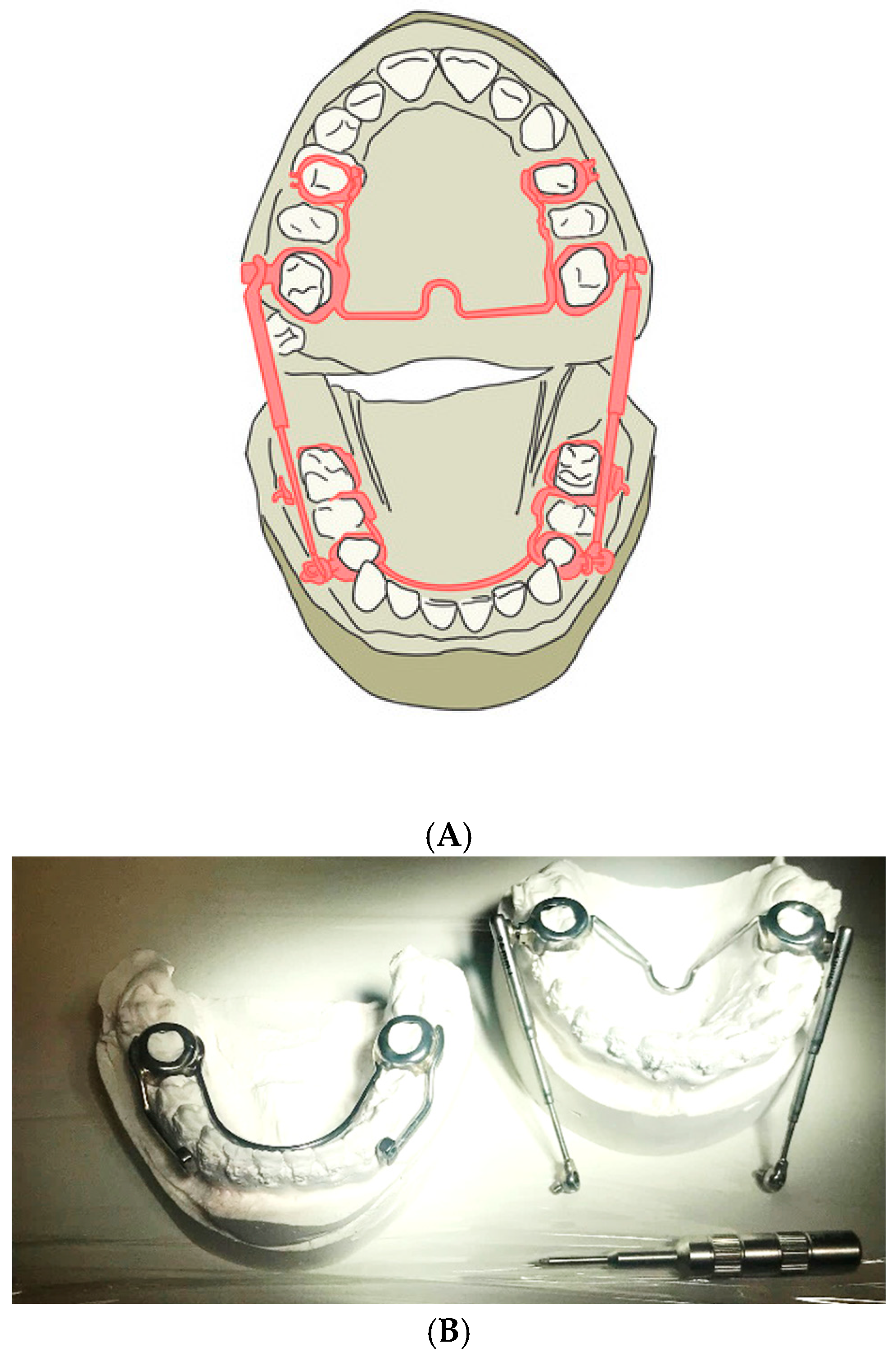 Preprints 147239 g001