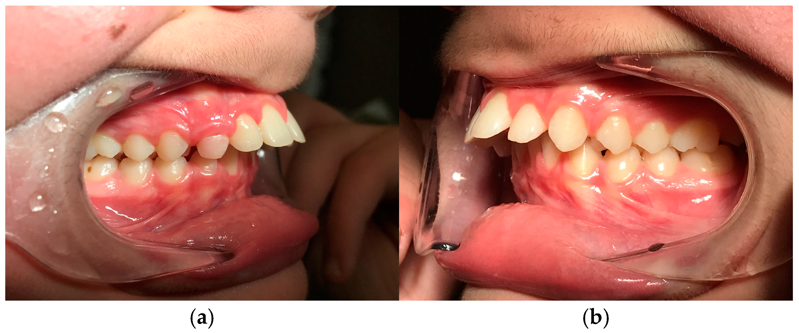 Preprints 147239 g002