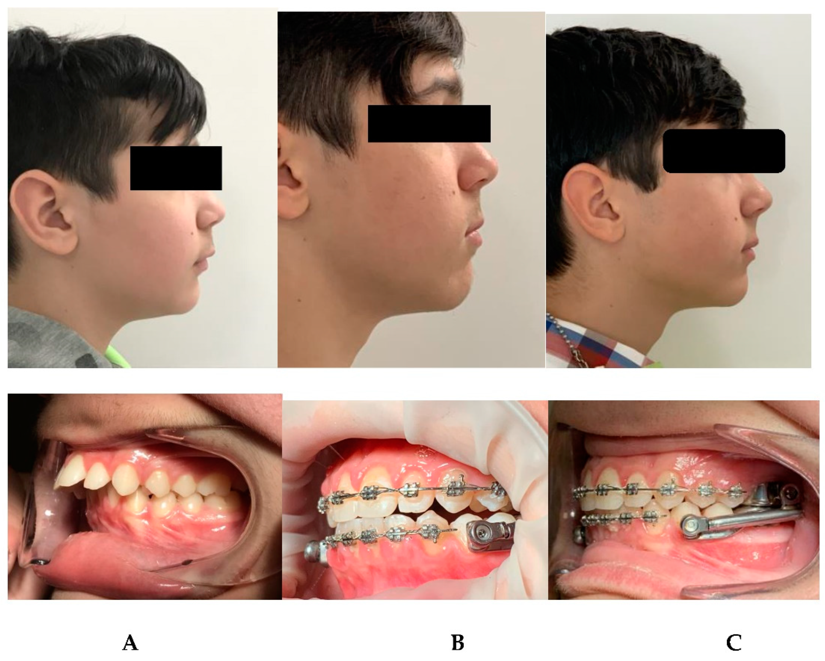 Preprints 147239 g004