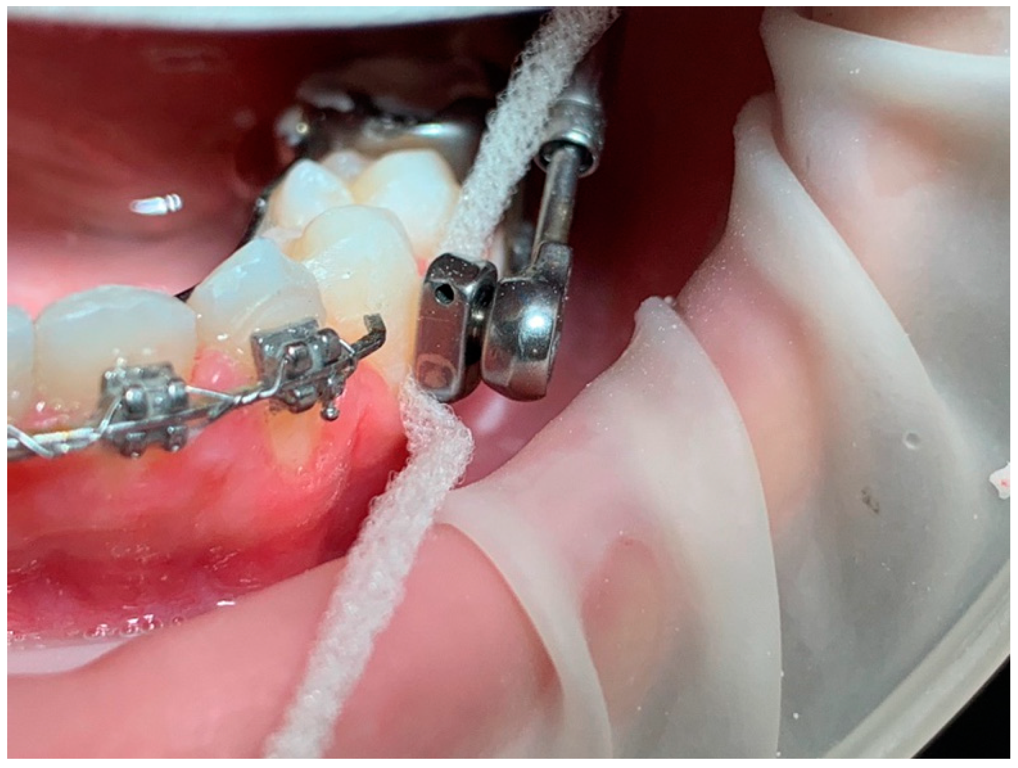 Preprints 147239 g007