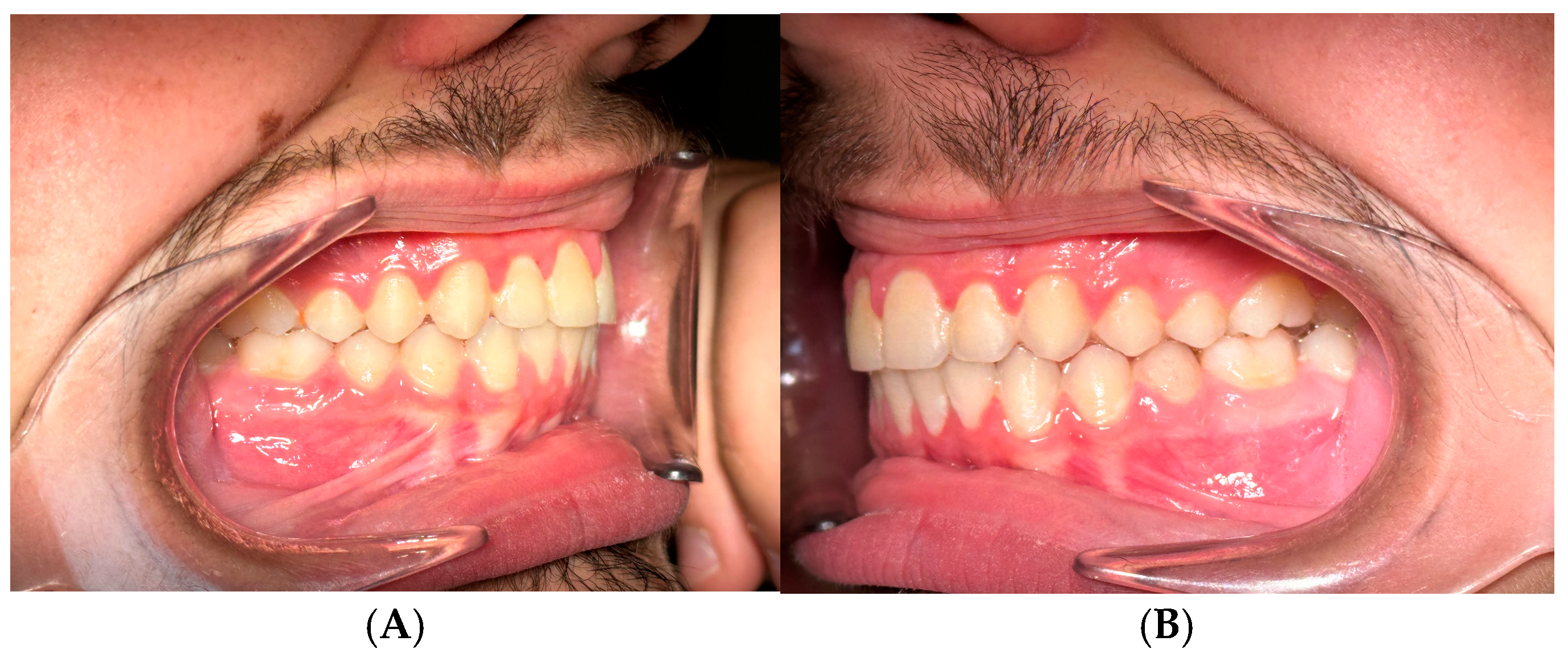 Preprints 147239 g009