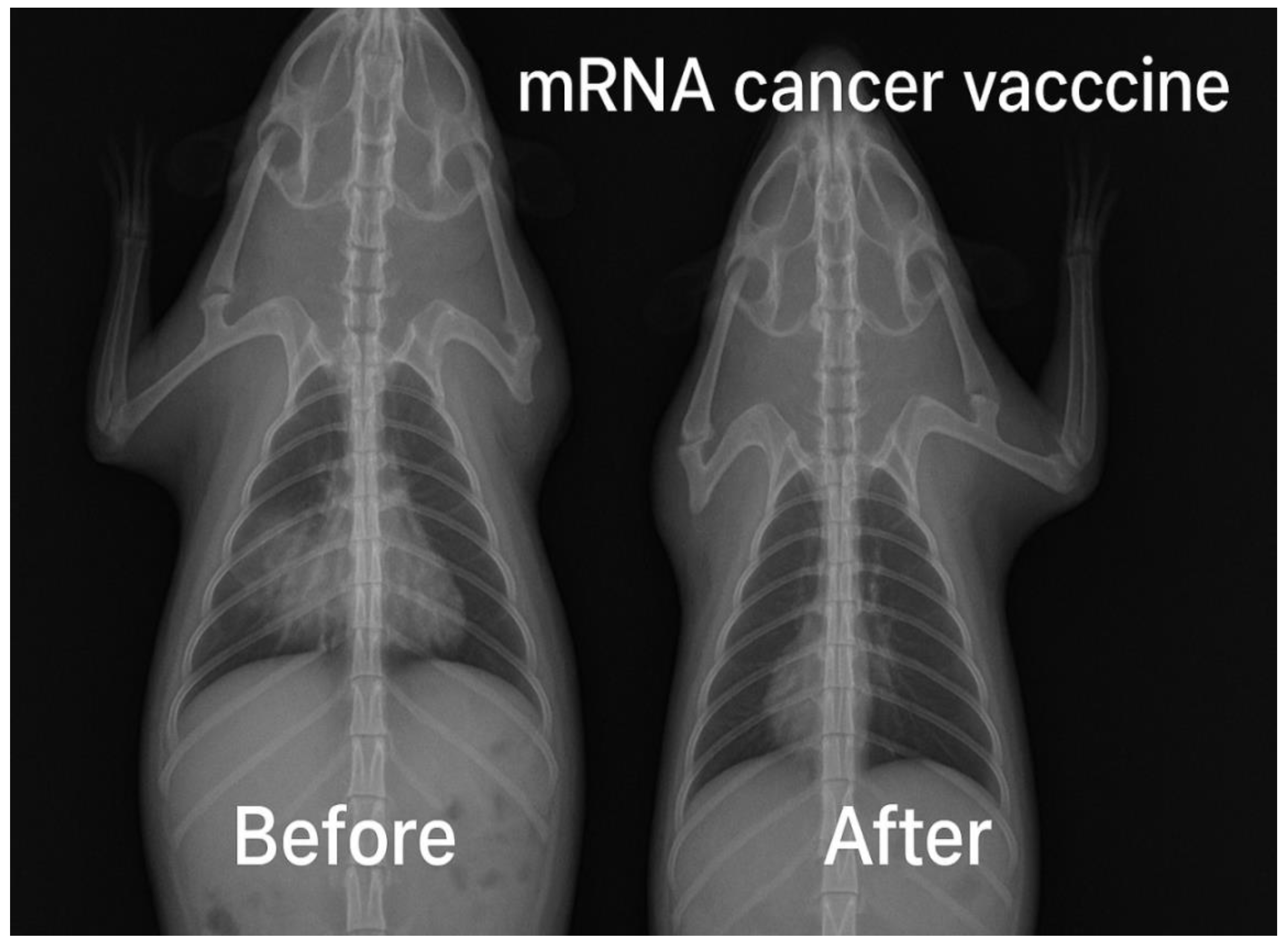 Preprints 161818 g014