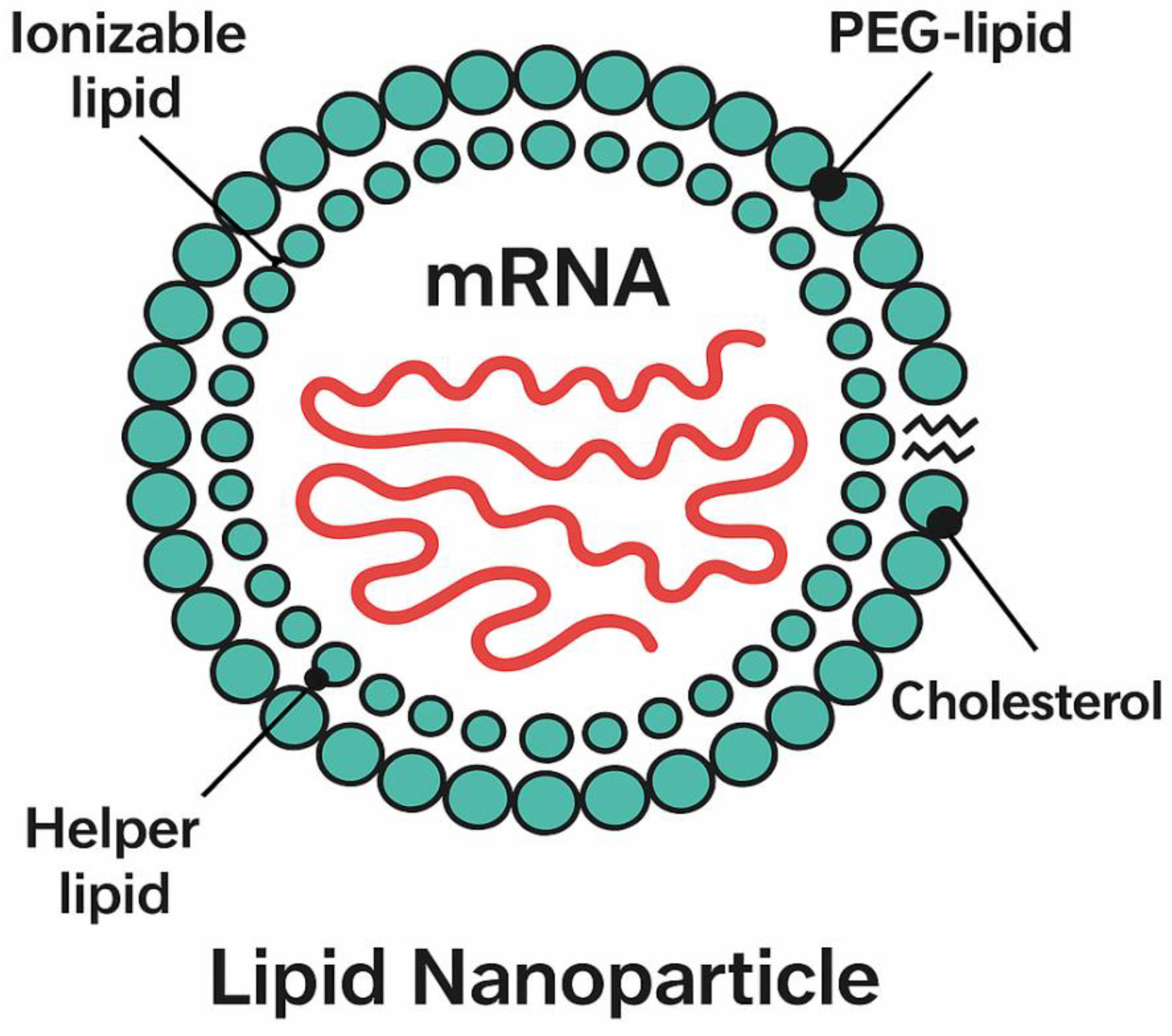 Preprints 161818 g020