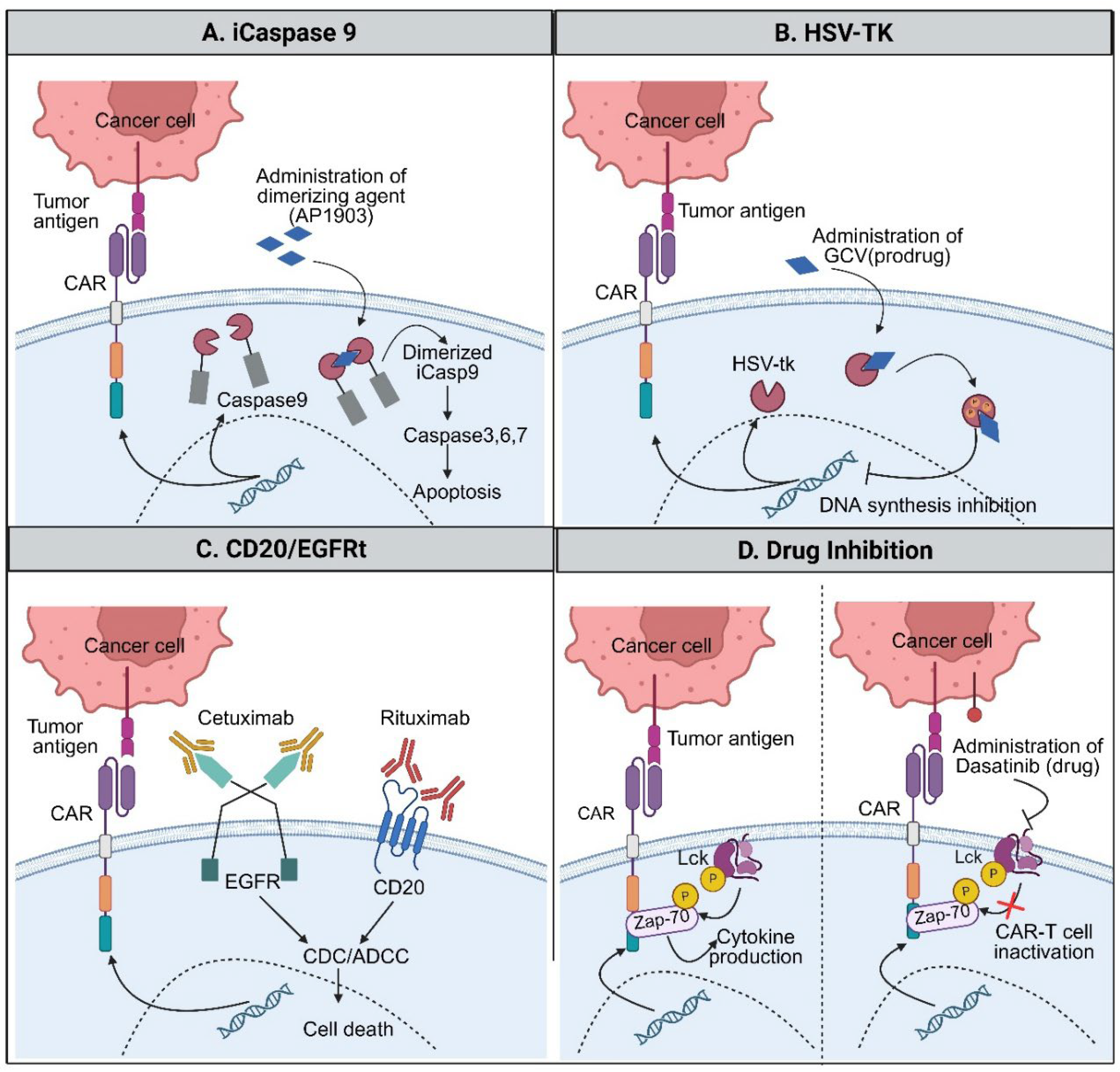 Preprints 198830 g003