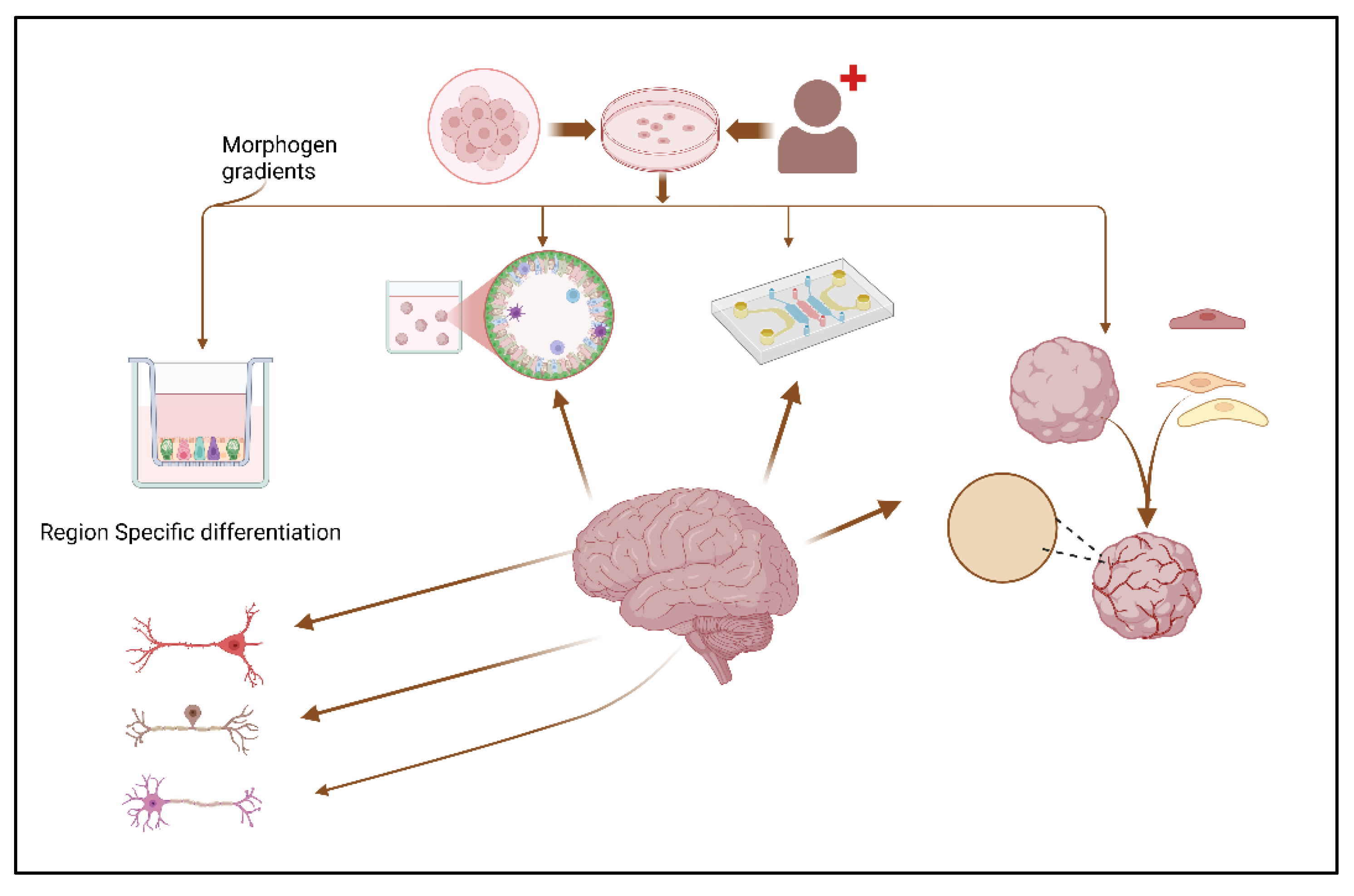 Preprints 164251 g002
