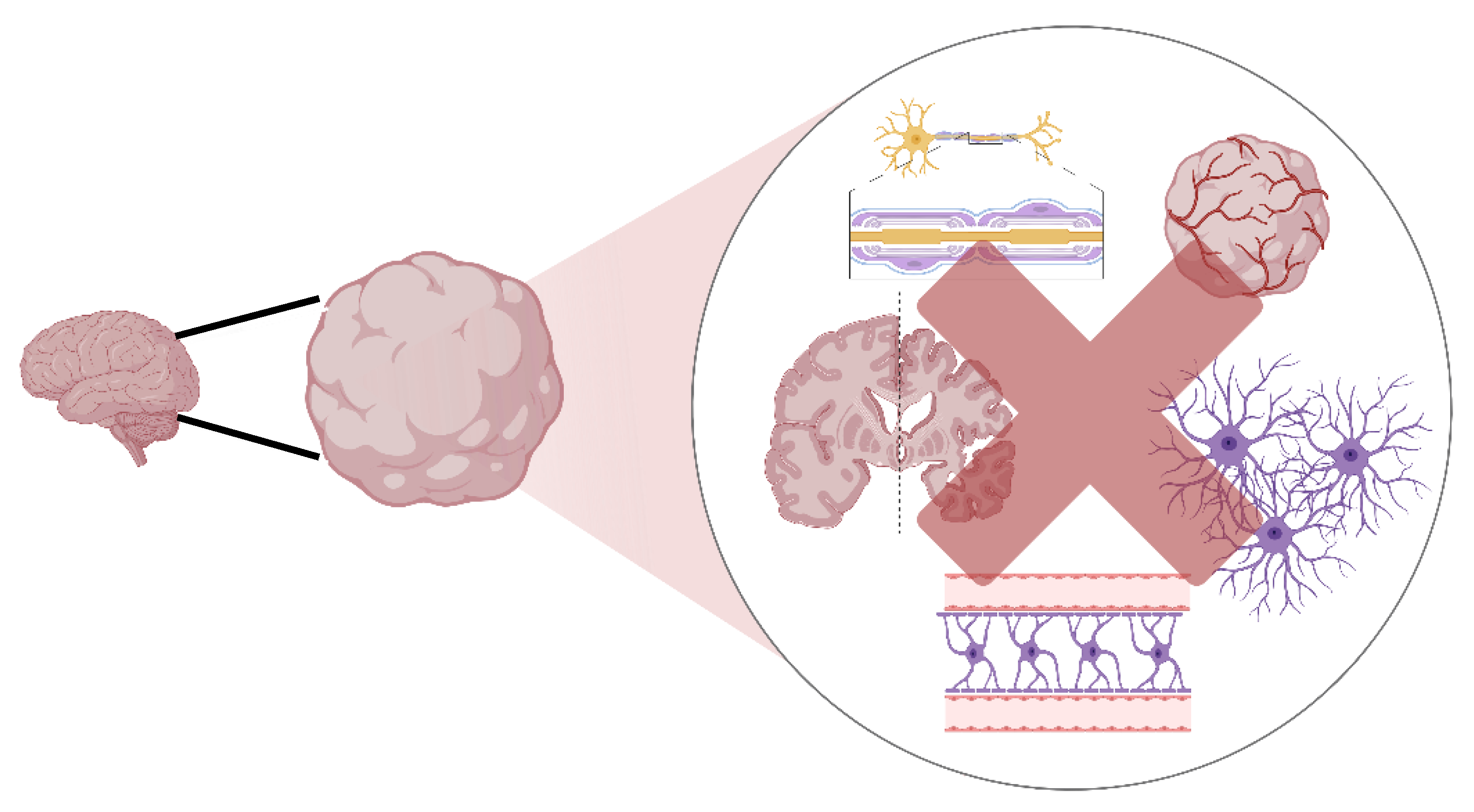 Preprints 164251 g003