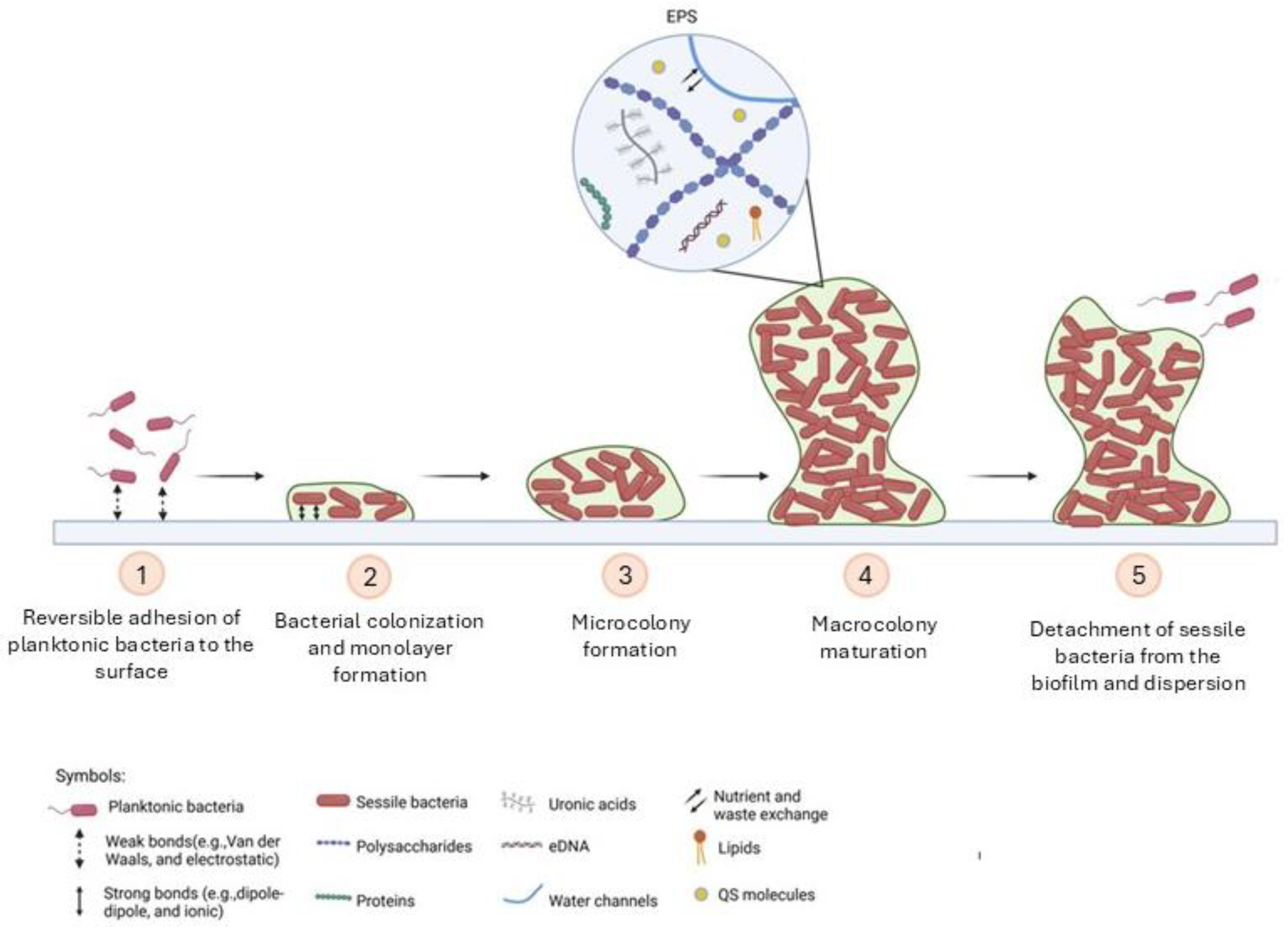 Preprints 207148 g001