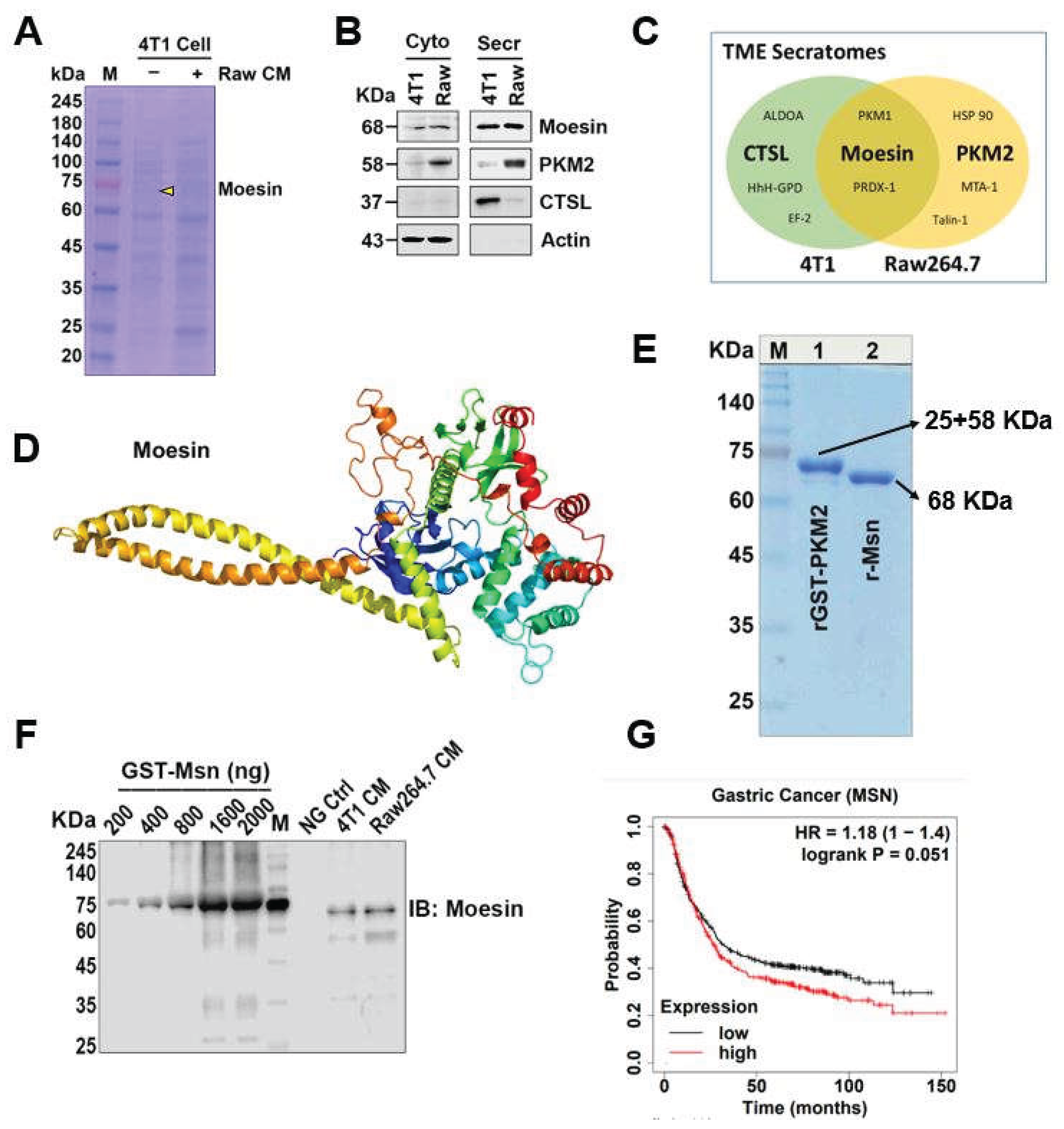 Preprints 199105 g001