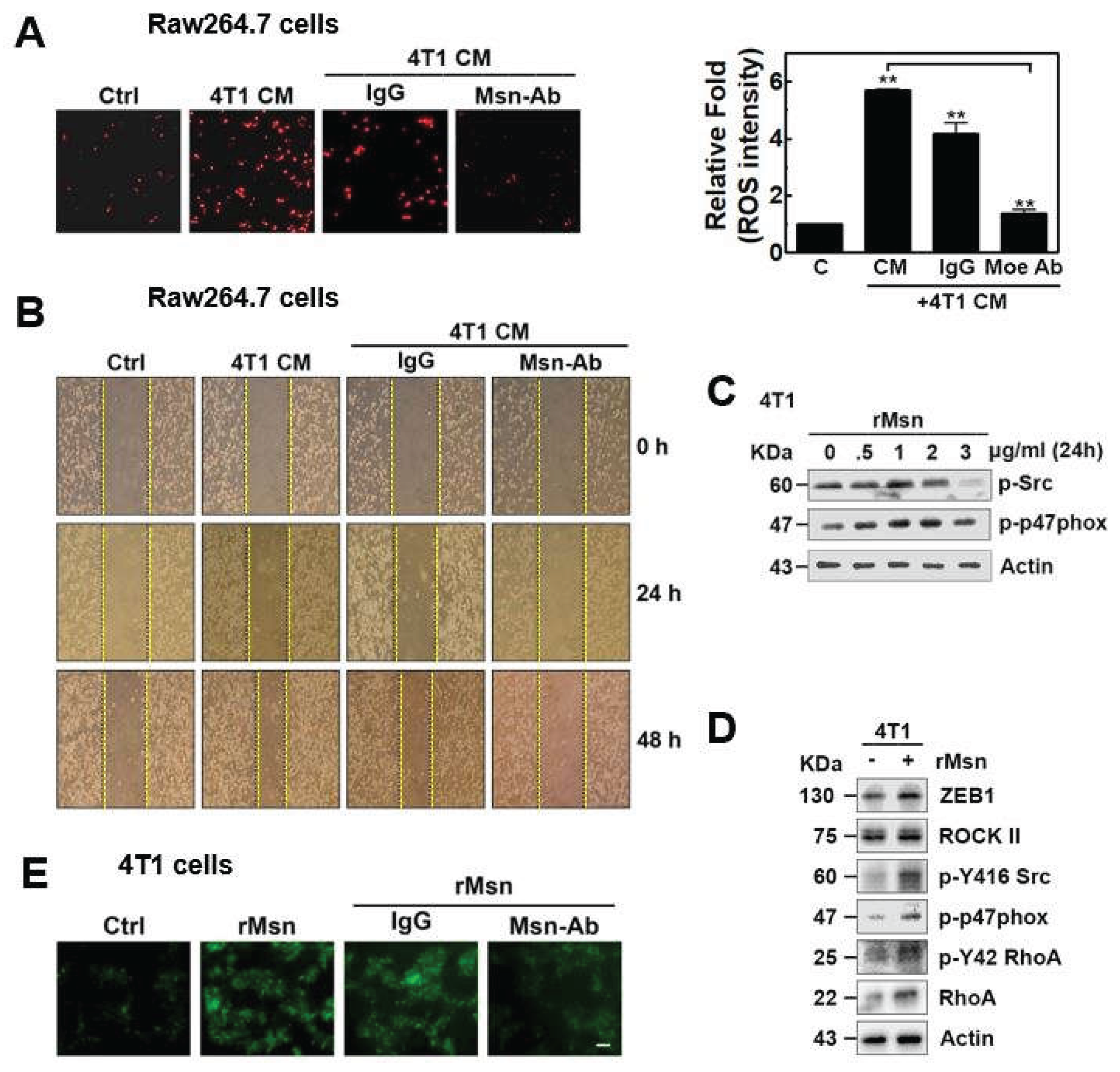 Preprints 199105 g002
