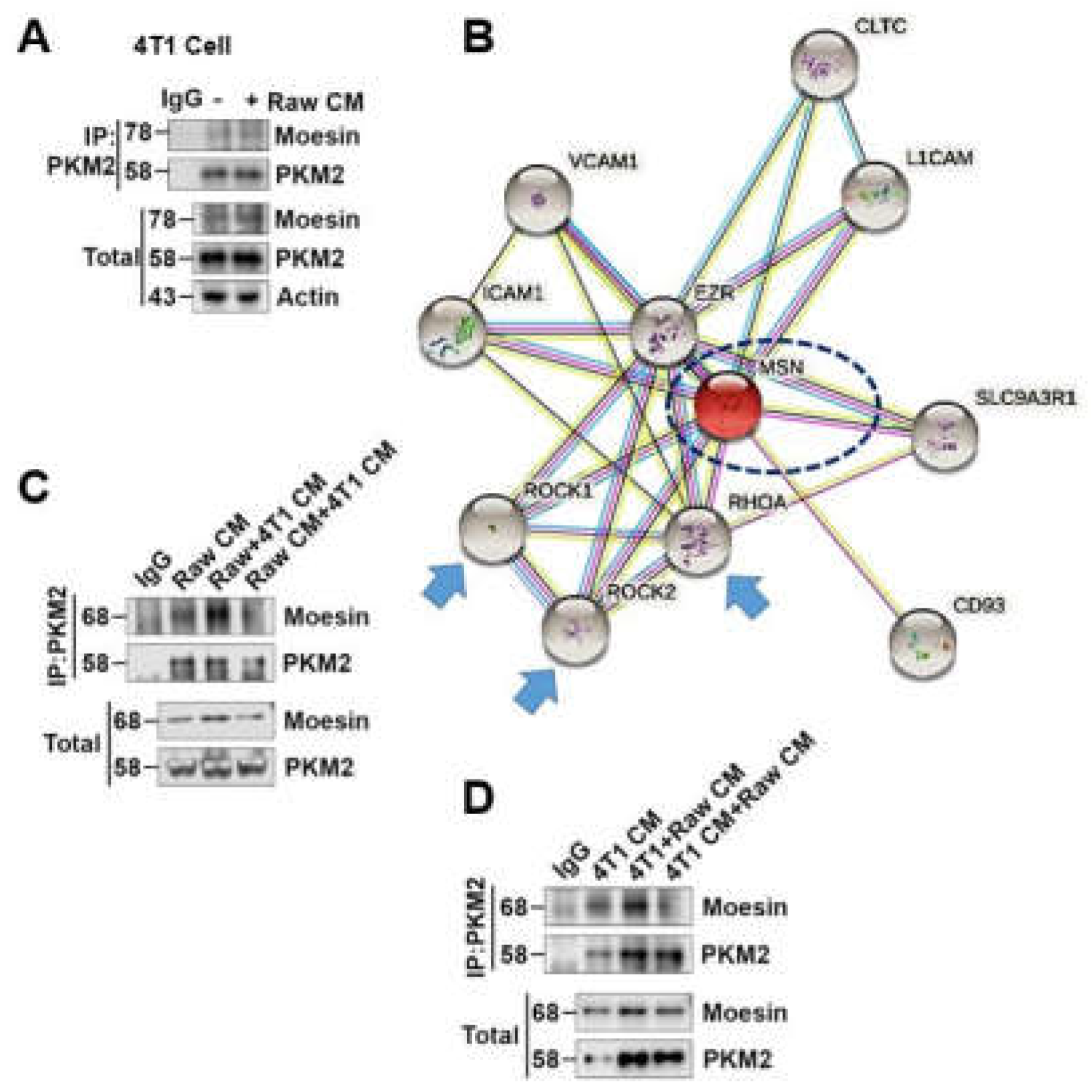 Preprints 199105 g003
