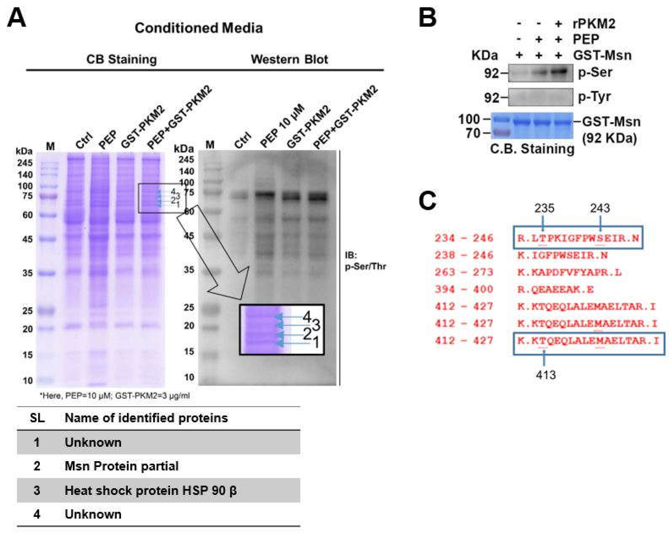 Preprints 199105 g004