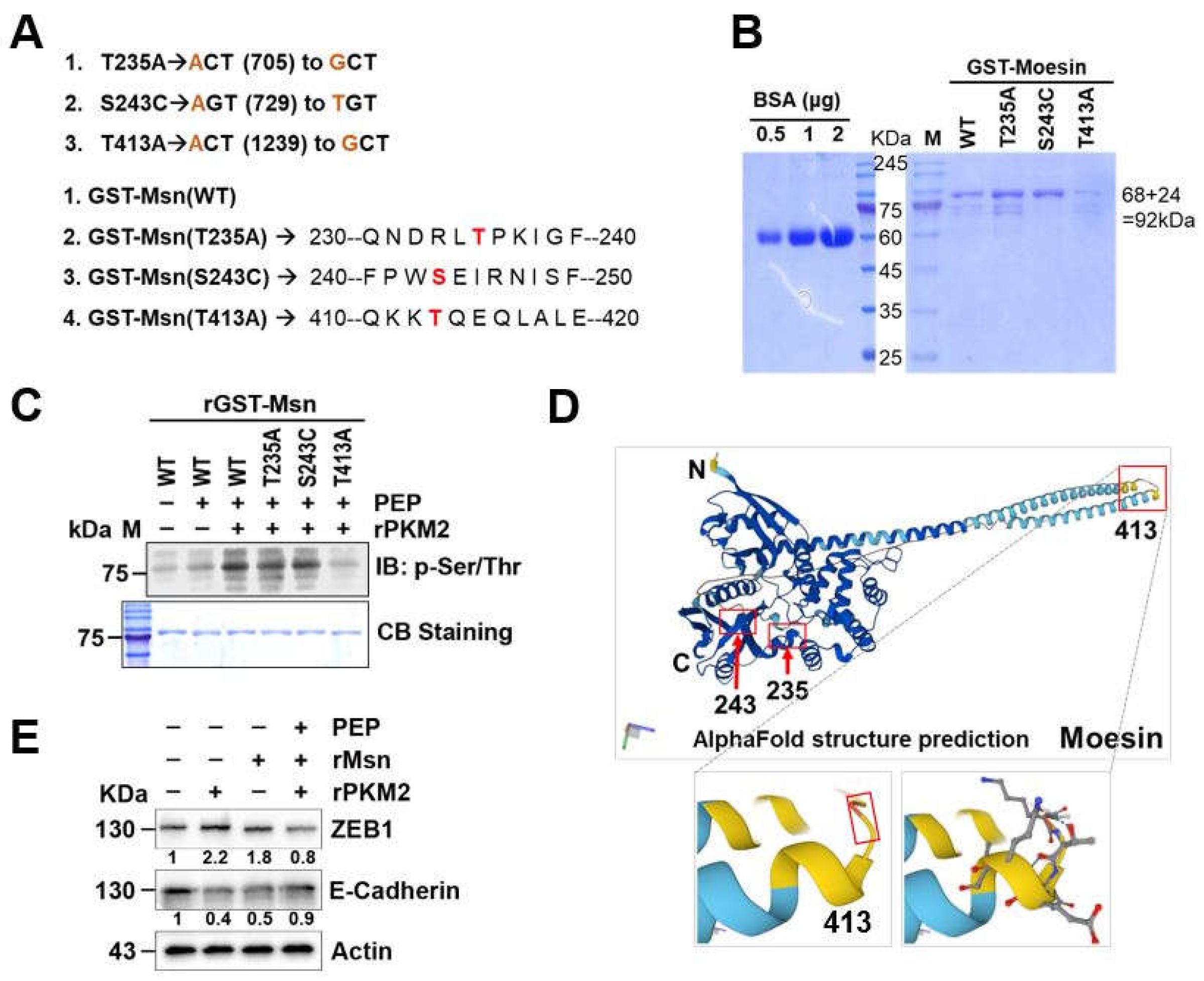 Preprints 199105 g005
