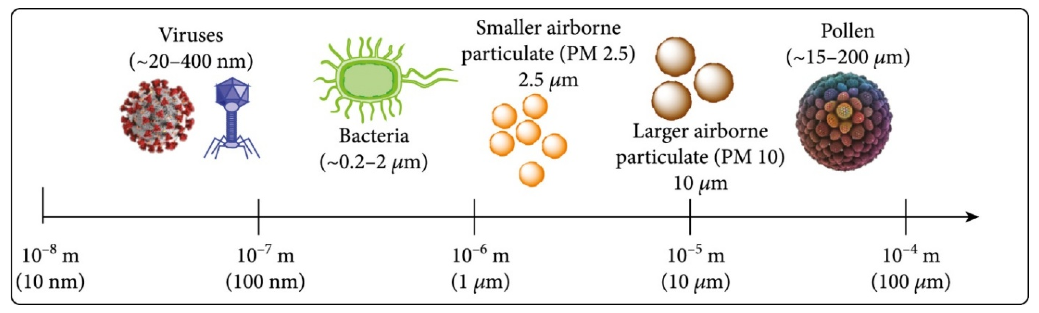 Preprints 179679 g002